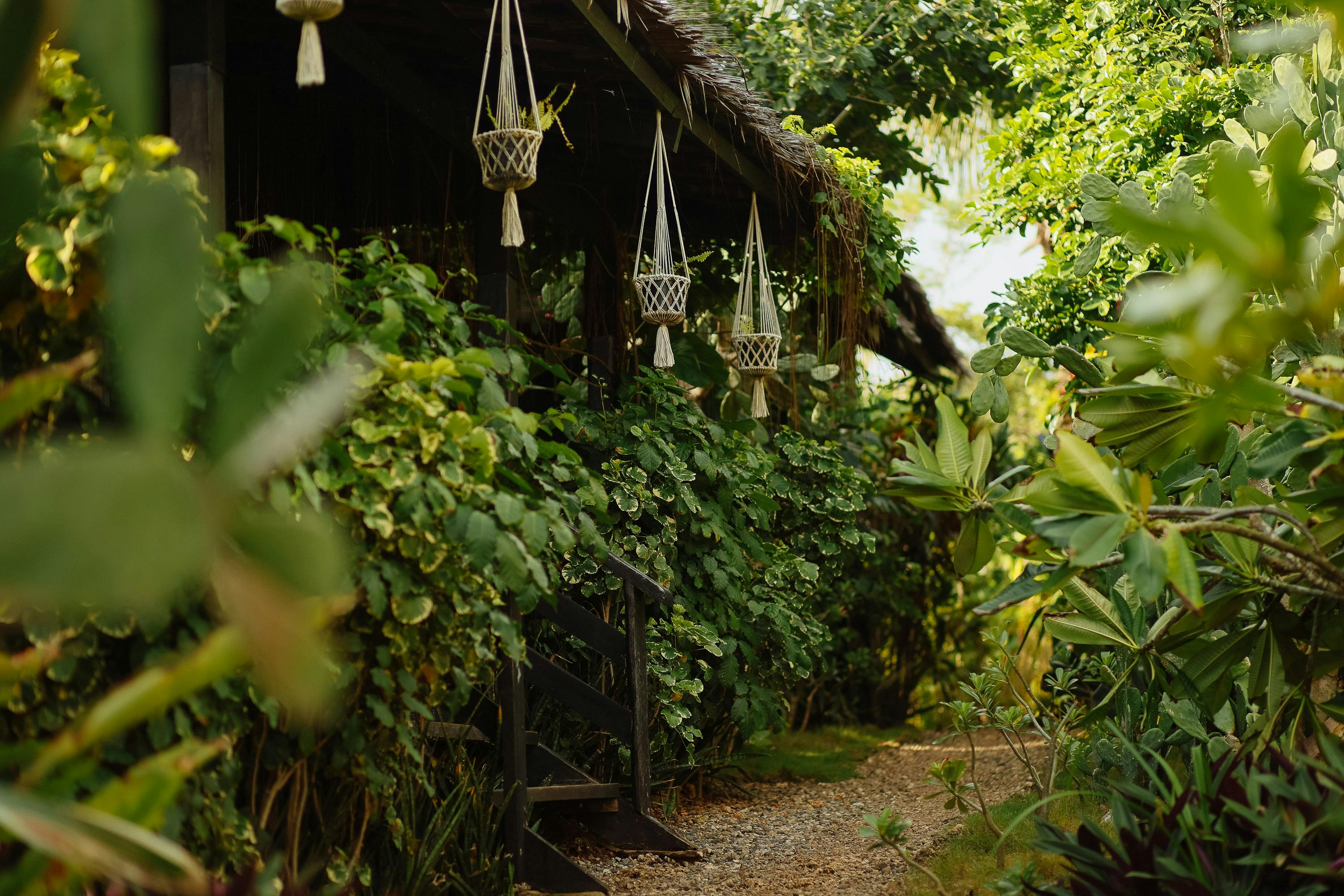 Lush Garden Pathway with Hanging Planters · Free Stock Photo
