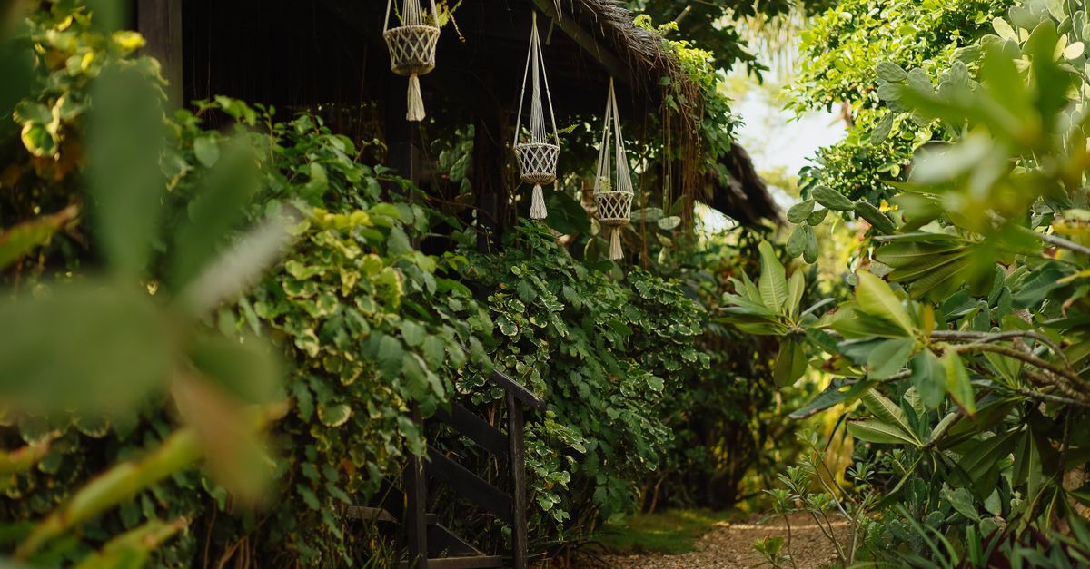 Lush Garden Pathway with Hanging Planters · Free Stock Photo