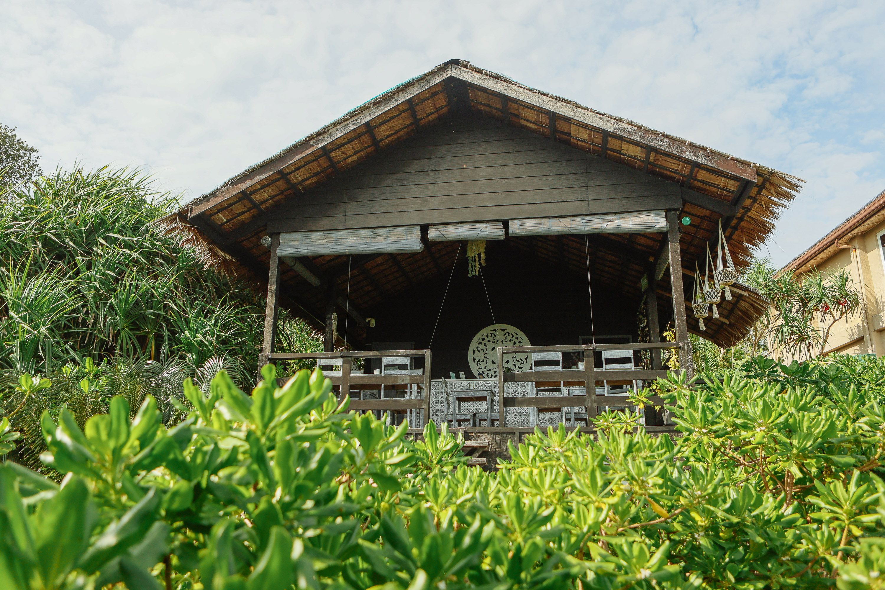 Rustic Wooden Hut Surrounded by Lush Greenery · Free Stock Photo