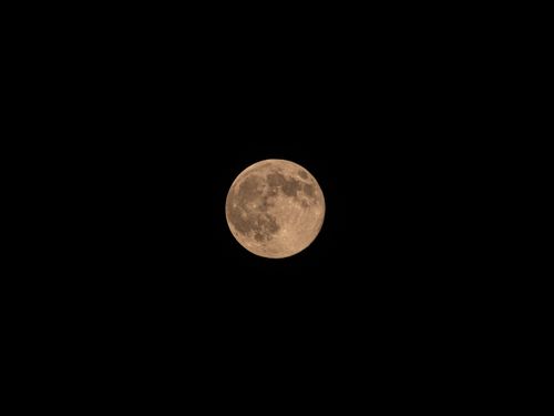 Free Detailed photo of the full moon against a black night sky, capturing lunar features. Stock Photo