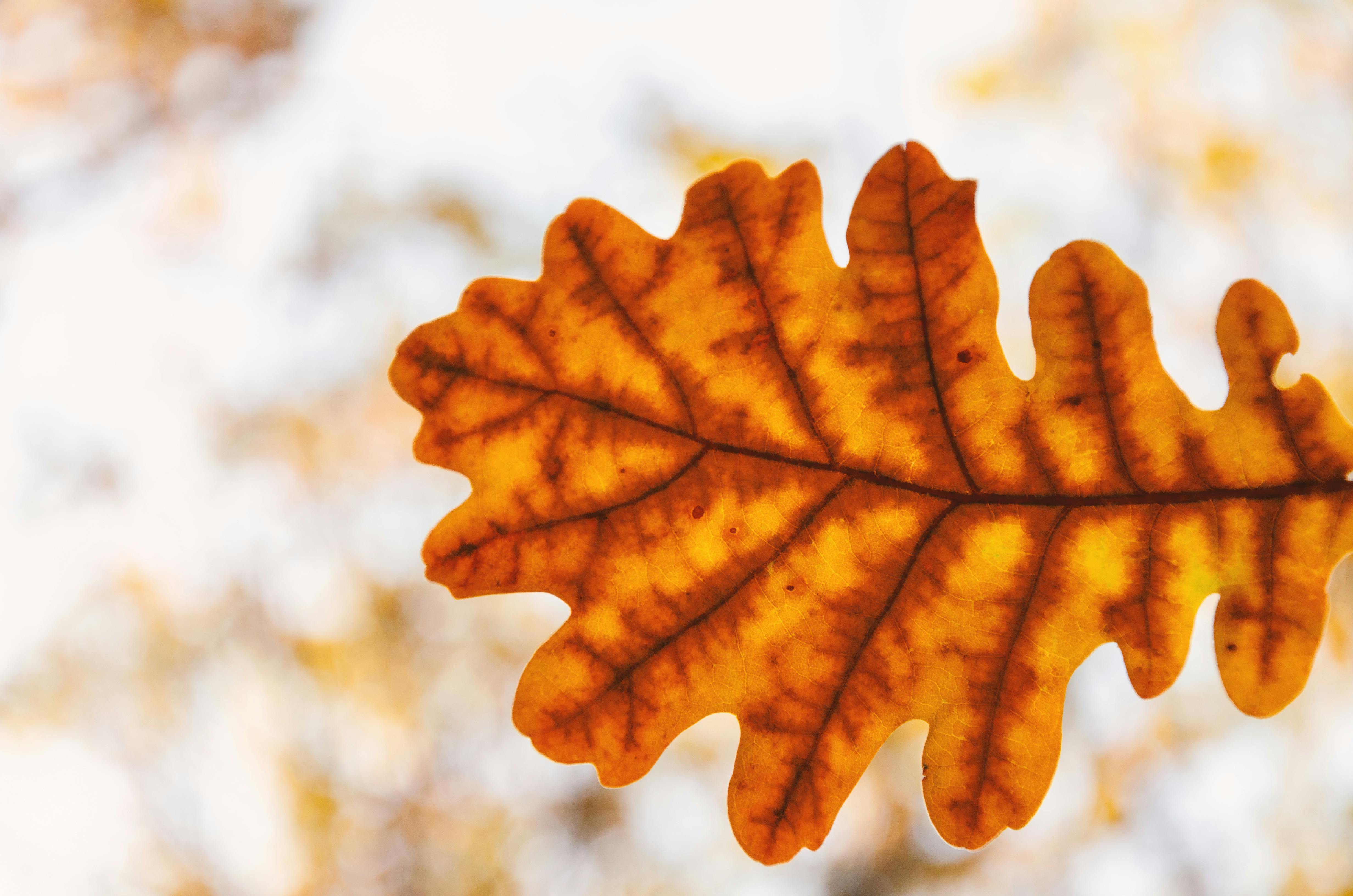 AI로 고객 응대 최적화 전문가가 전하는 최신 트렌드 - 이미지 3