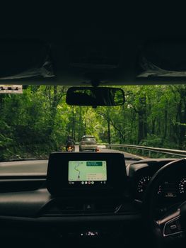 Capture of a car interior navigating a lush green forest with natural light filtering through.