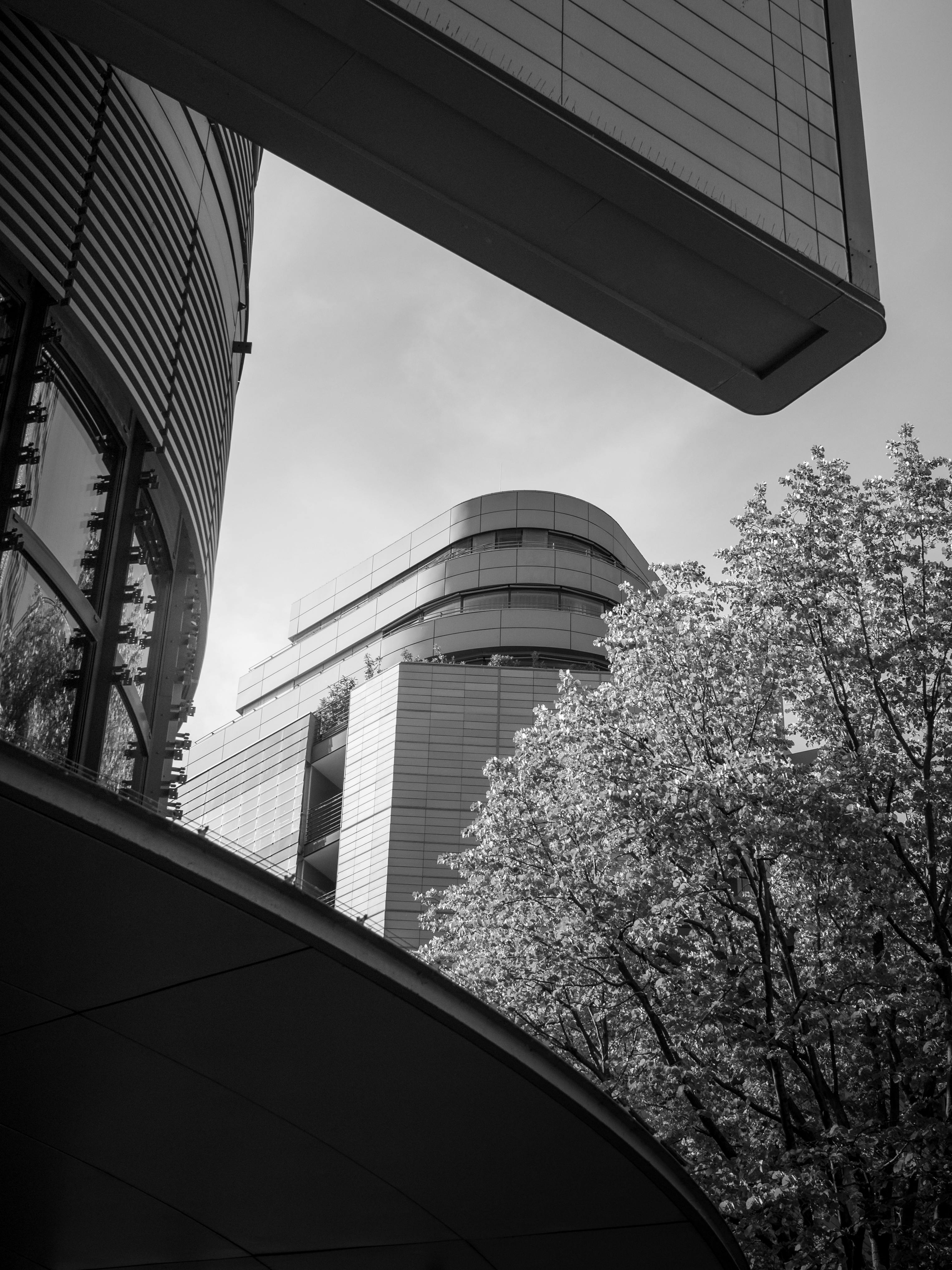 Gratuit Photo en noir et blanc de bâtiments modernes entourés d'arbres, illustrant l'harmonie architecturale de Berlin. Photos