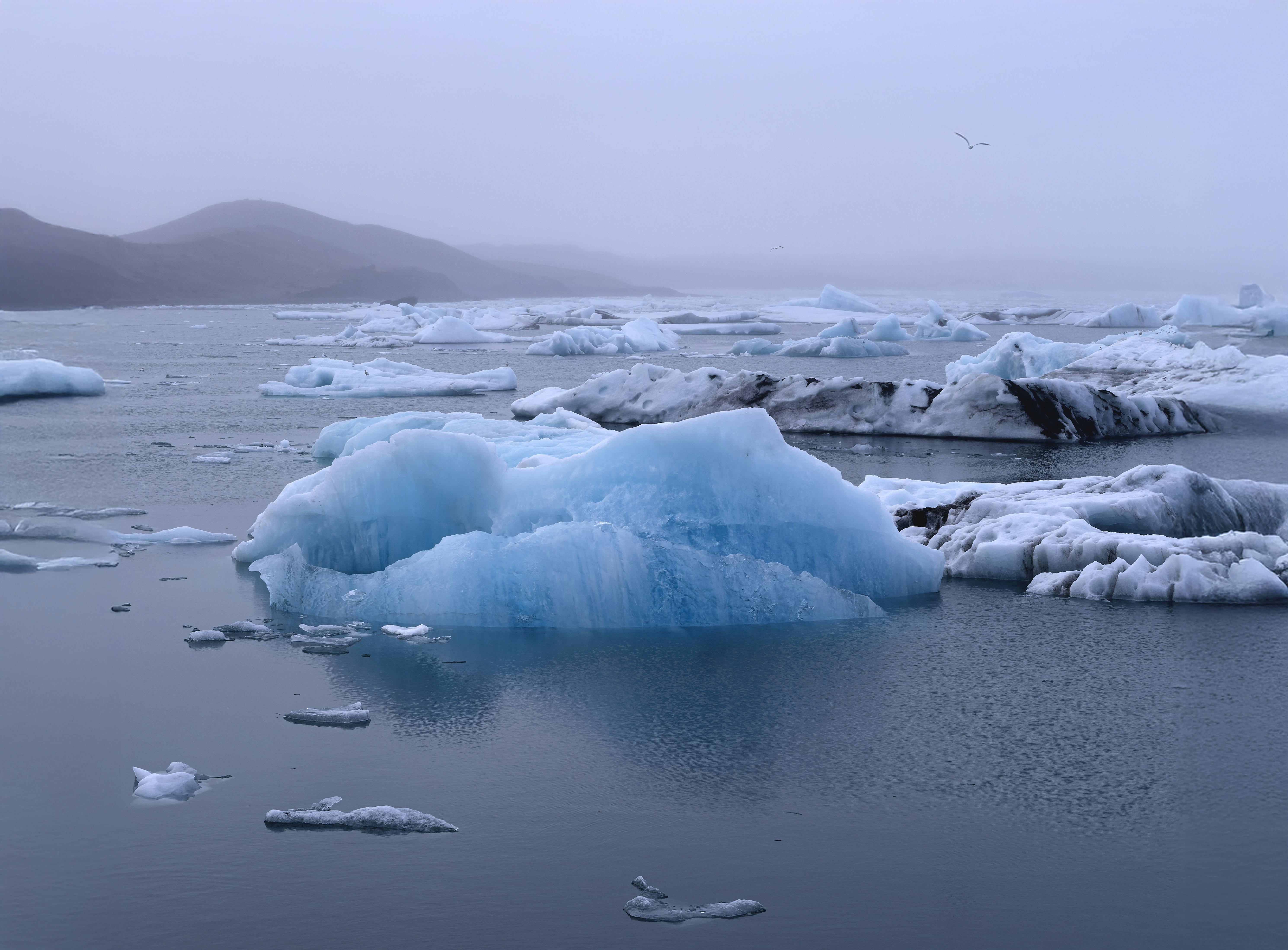 climate resilience, sea level rise, drought mitigation, ecosystem restoration, climate policy, Climate adaptation — Photo by 