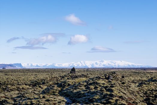 Beautiful Icelandic landscape featuring mossy lava fields with snow-capped mountains under a clear blue sky.