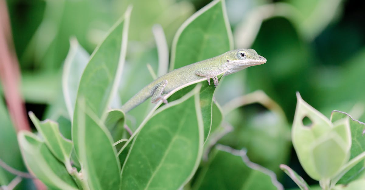 財經:中偉新材料(02579)今起公開招股 一手入場費7636元