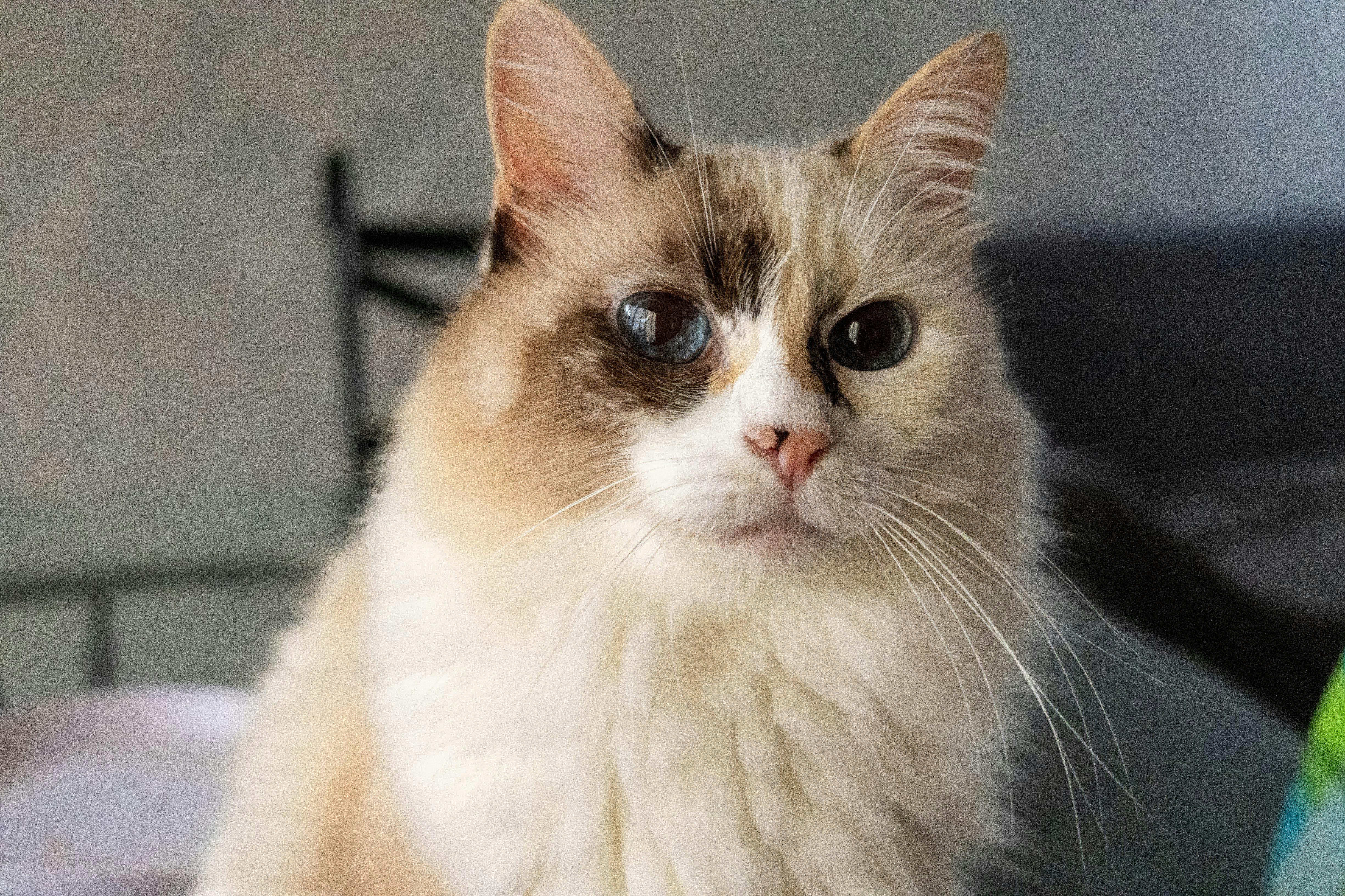 Blogartikel Für Outreach Nutzen: So Maximieren Sie Ihre Reichweite 7 Blogartikel für Outreach: Warum Visuelle Inhalte Ihre Reichweite verdoppeln können