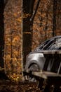 Car in Autumn Forest with Picnic Table