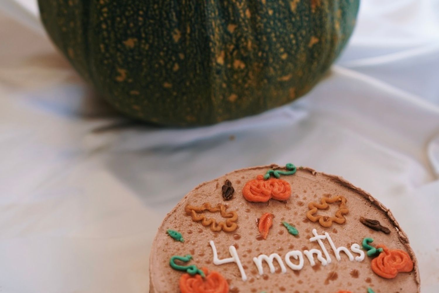 Fall Birthday Photos, Download The BEST Free Fall Birthday Stock Photos ...