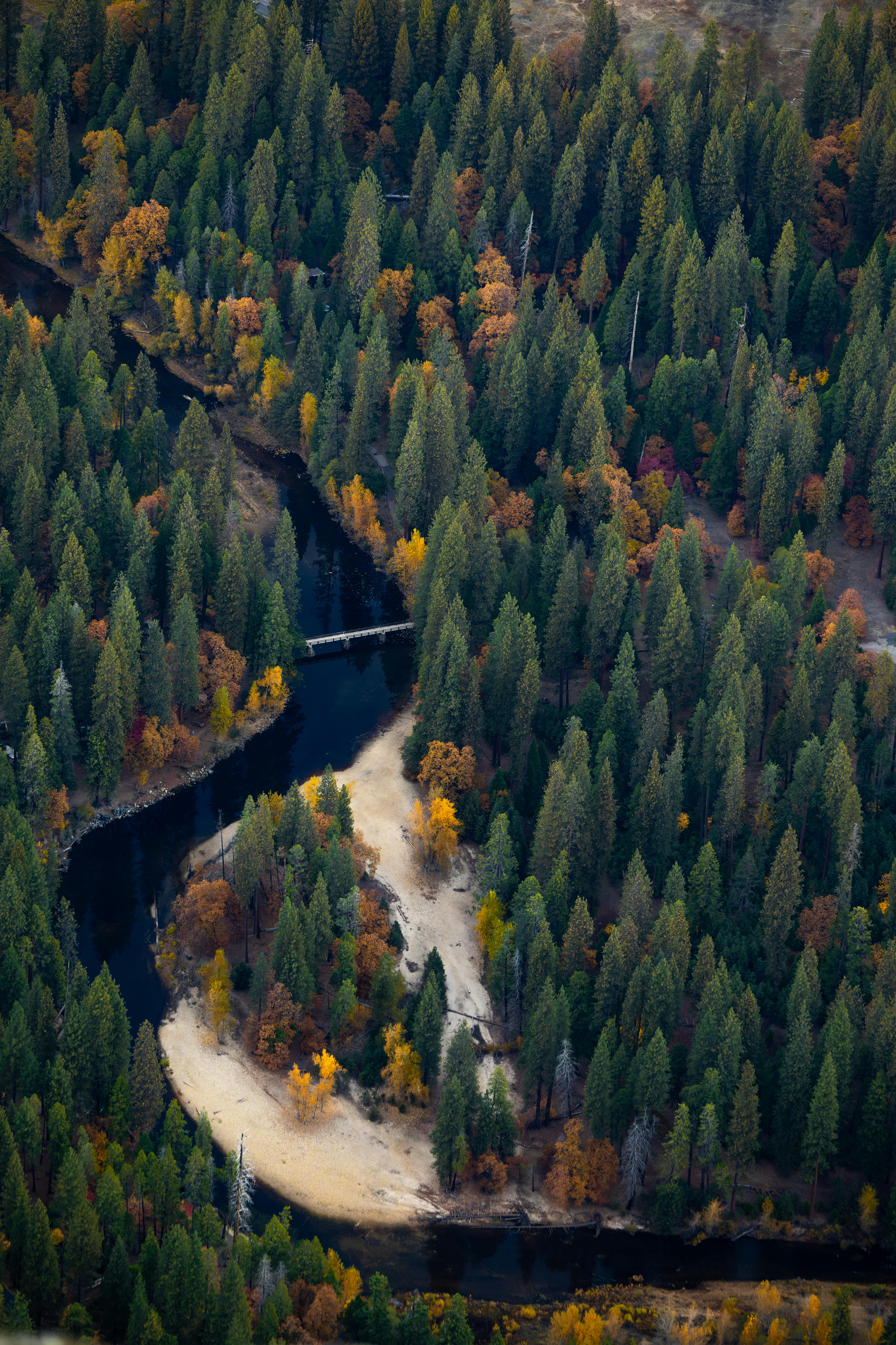 A breathtaking aerial view showcasing a meandering river through a vibrant autumn forest landscape.