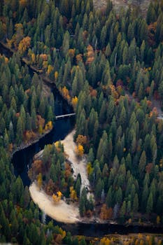 A breathtaking aerial view showcasing a meandering river through a vibrant autumn forest landscape.