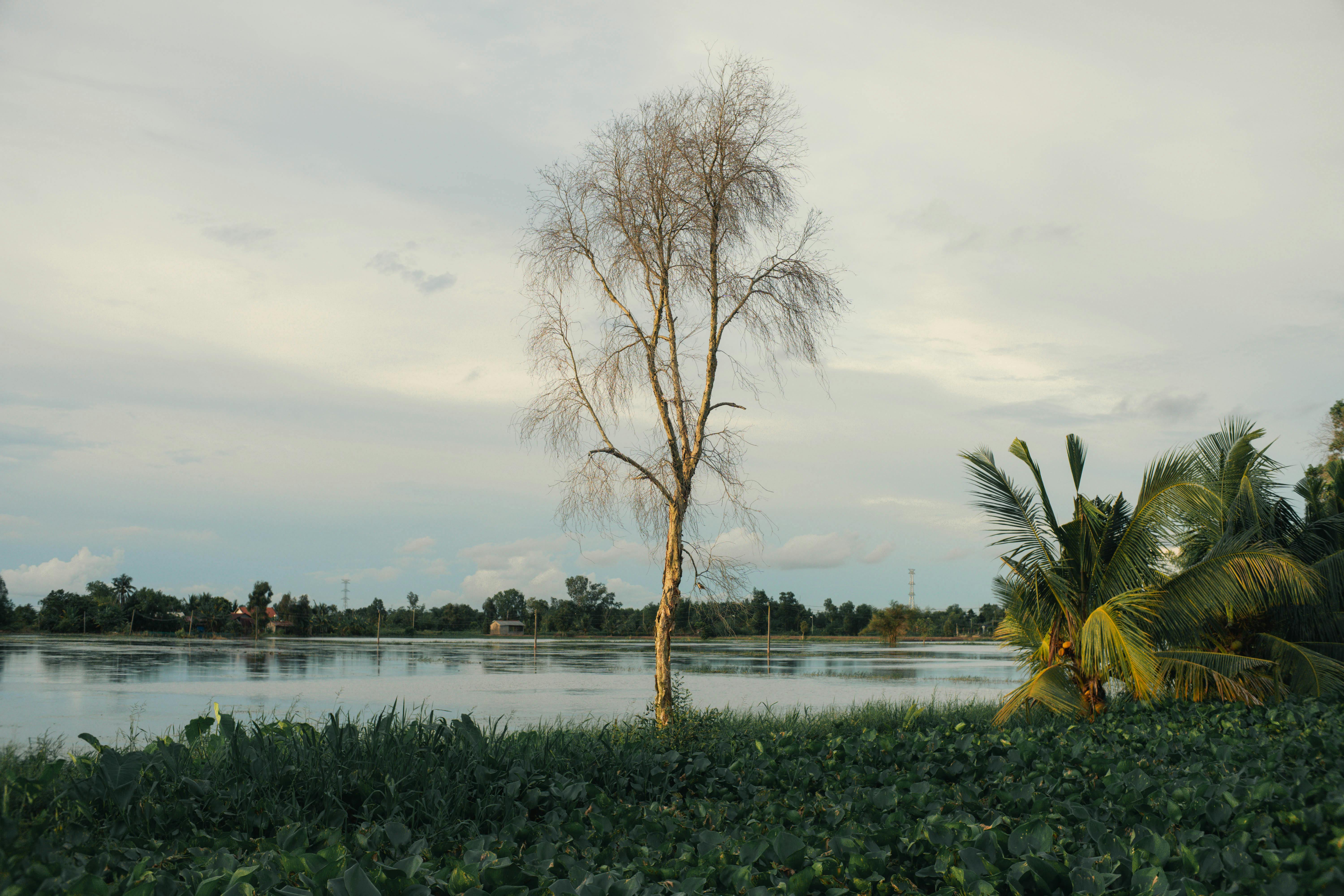 kocaelispor – besiktas