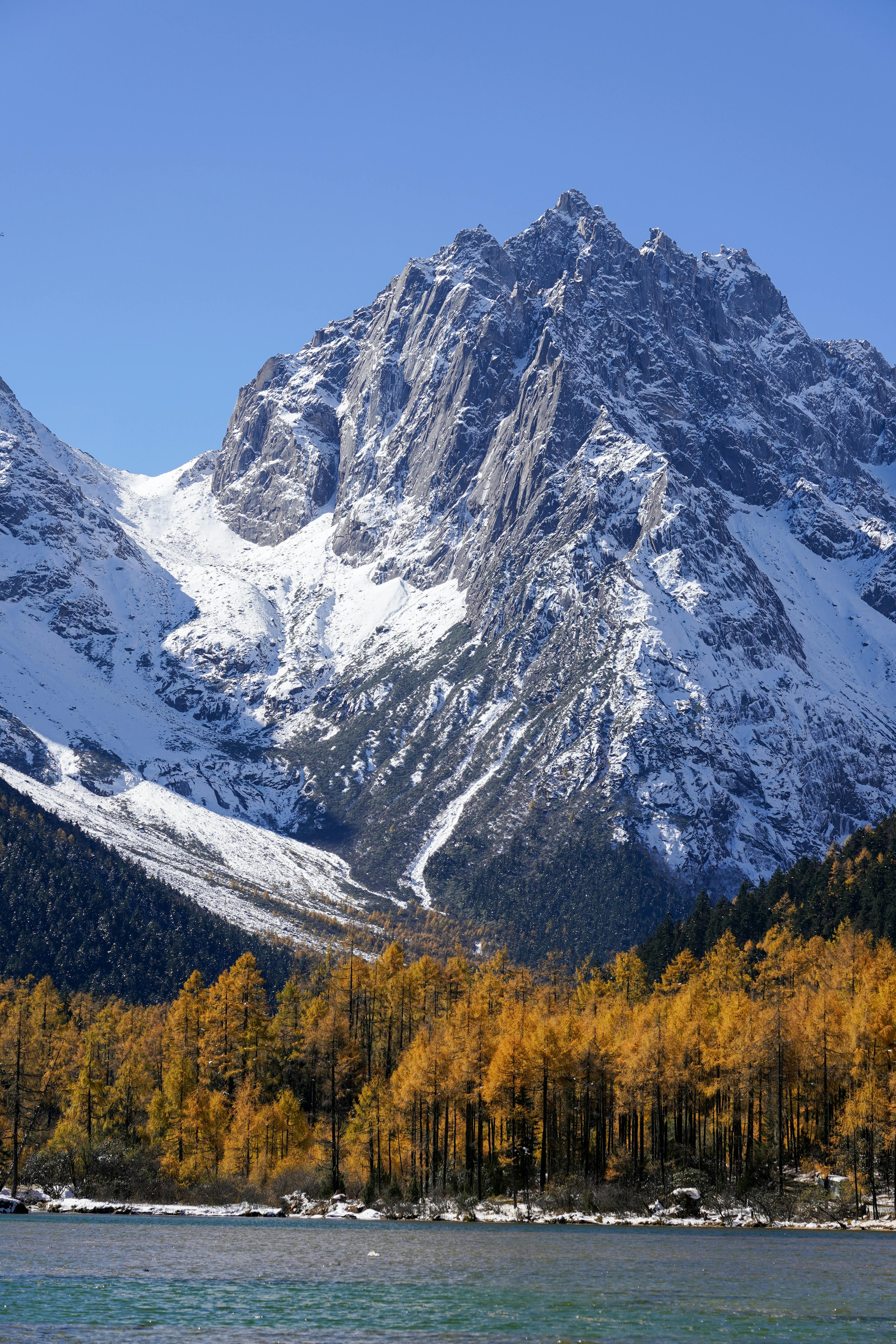 Breathtaking view of a snow-capped mountain with autumn foliage in the foreground under a clear blue sky.
