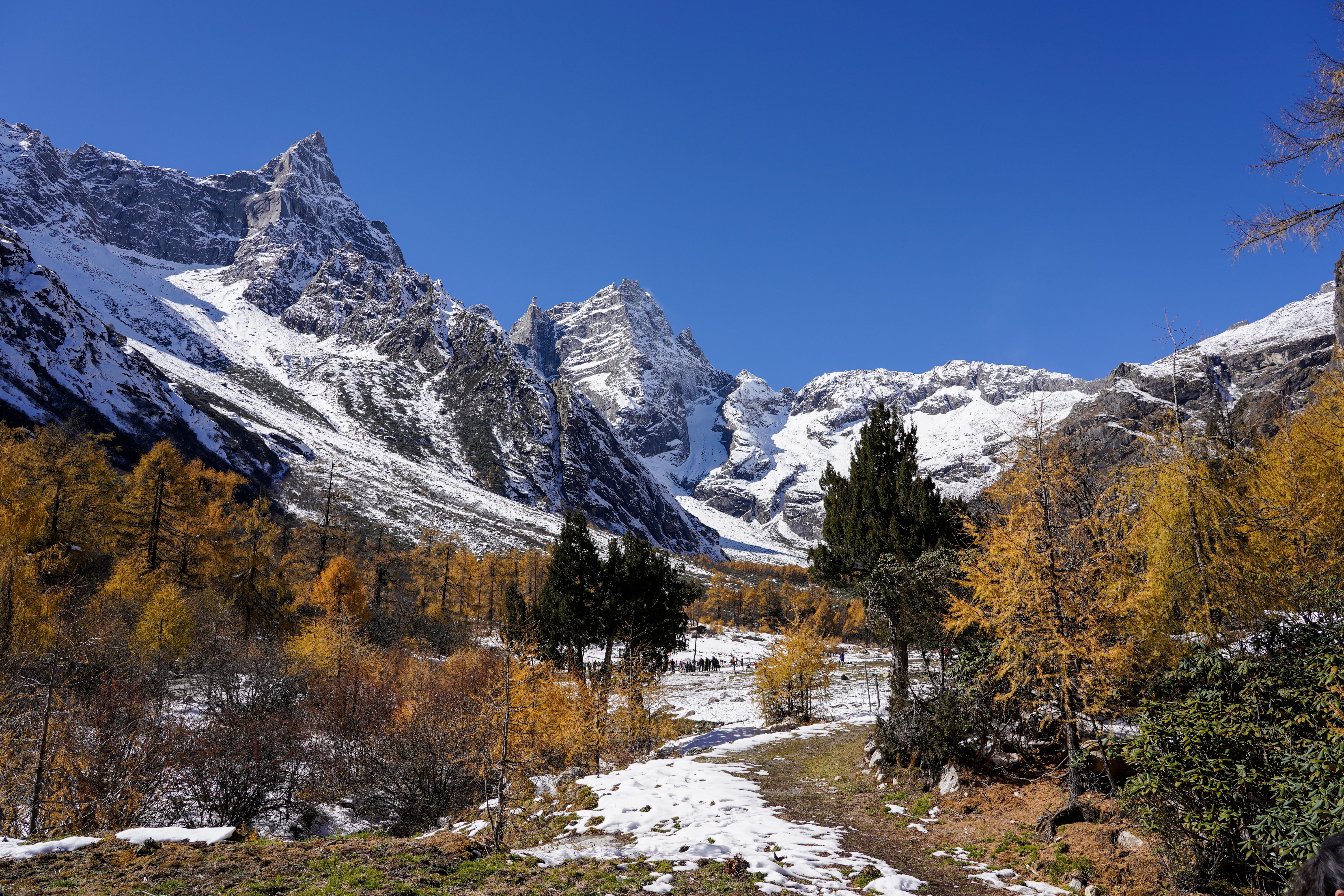 Snowy Mountain Landscape with Autumn Colors · Free Stock Photo