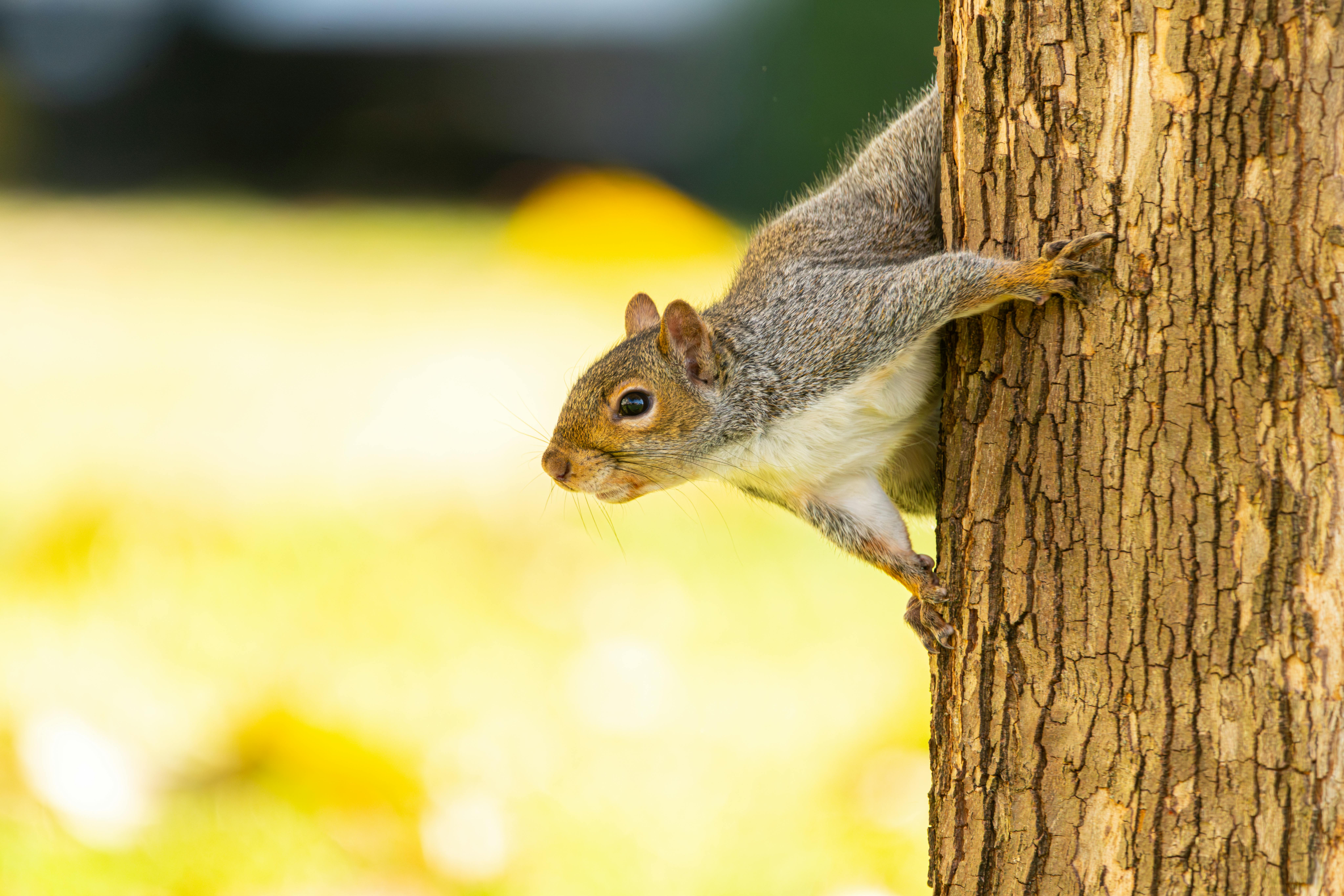 Outreach-Erfolg Messen Leicht Gemacht: Strategien Für Maximale Wirkung 2 Outreach-Erfolg messen: Welche KPIs sind entscheidend für Ihre Marketingstrategie?