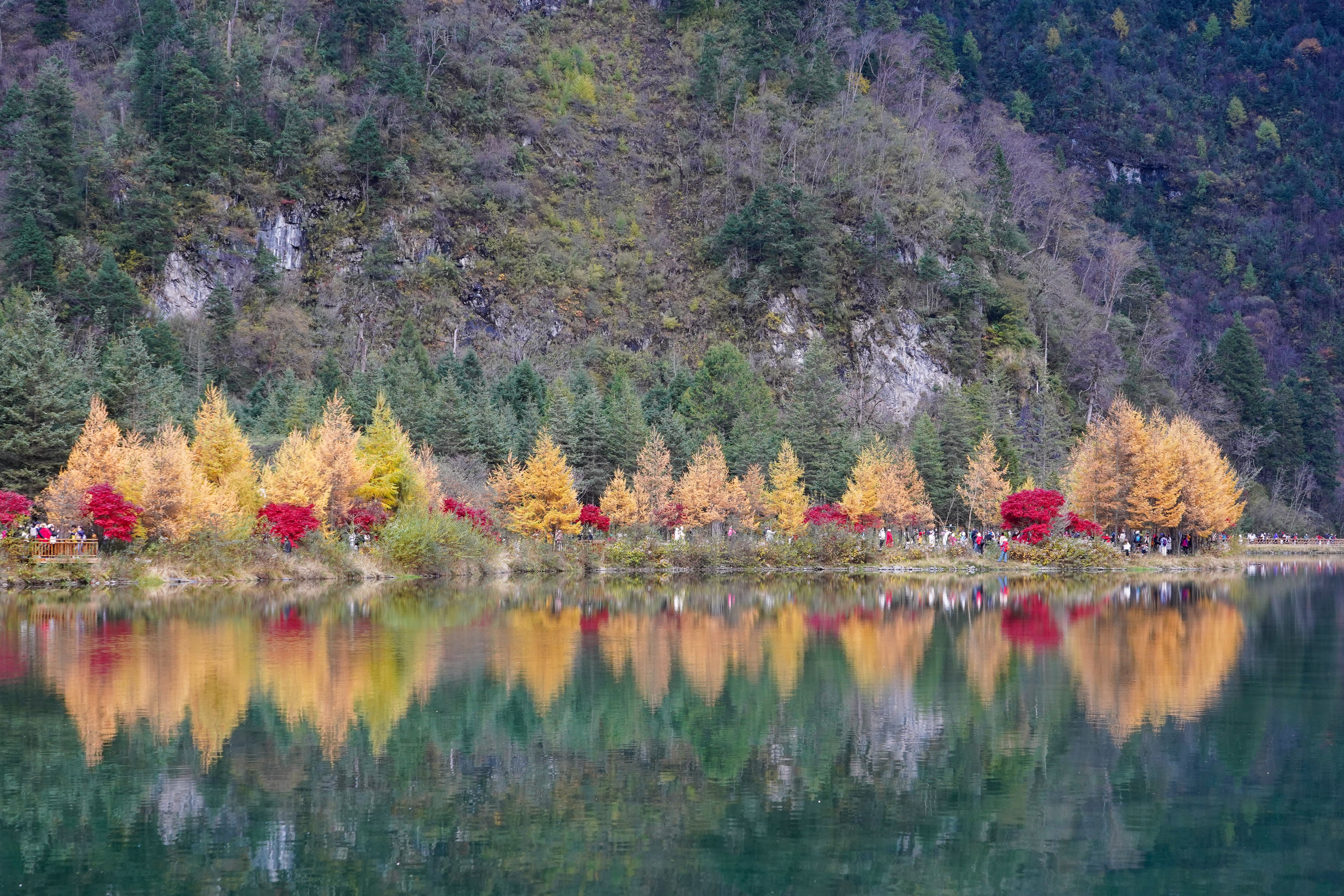 Autumn Reflections in Scenic Mountain Lake · Free Stock Photo
