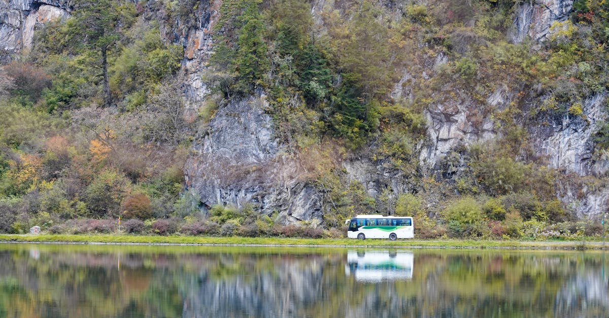 福井县胜山市观光巴士「ダイナゴン」的停运信息 福井县胜山市观光巴士「ダイナゴン」的停运信息