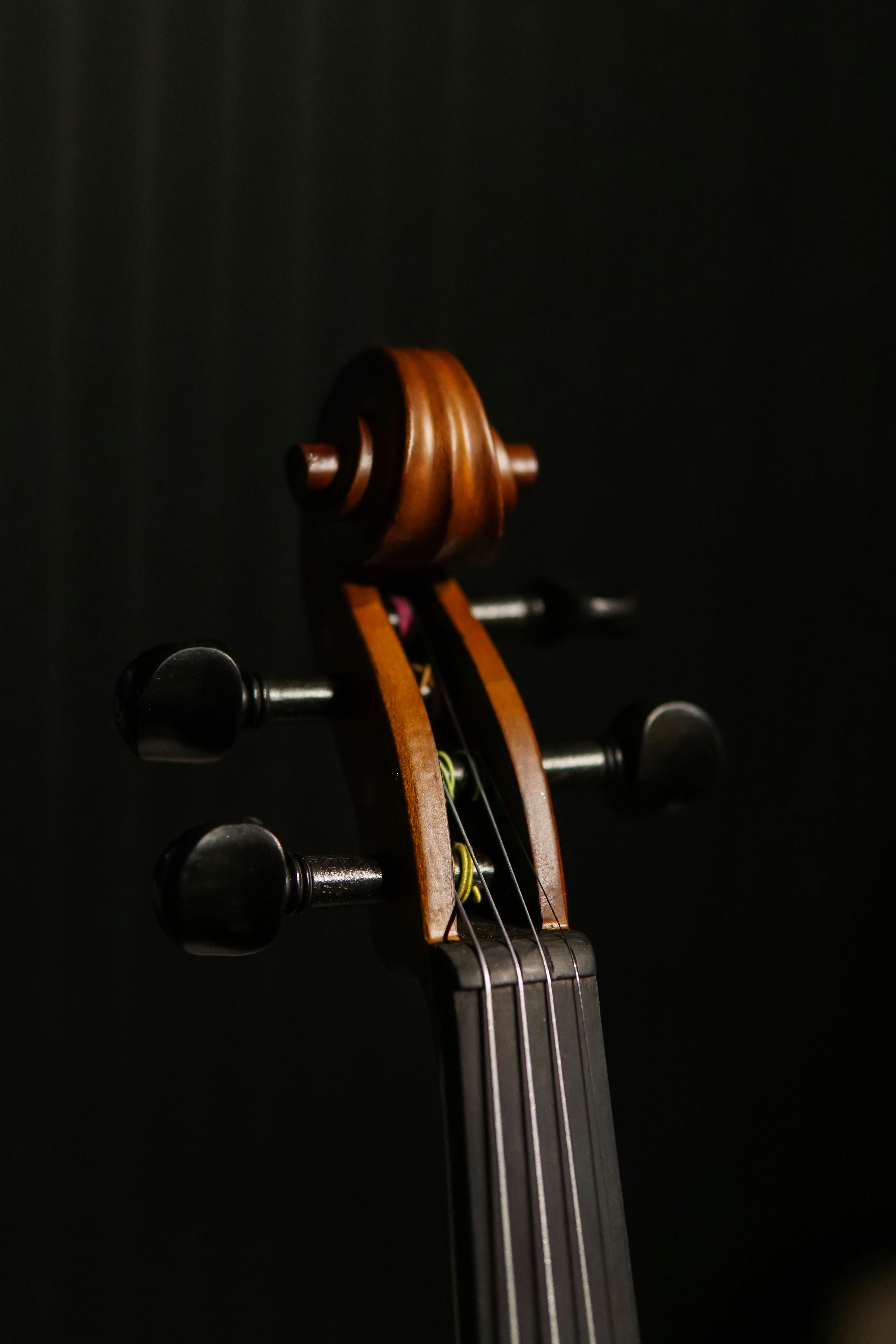 Naked+Musicians+On+Stage Photos, Download The BEST Free Naked+Musicians