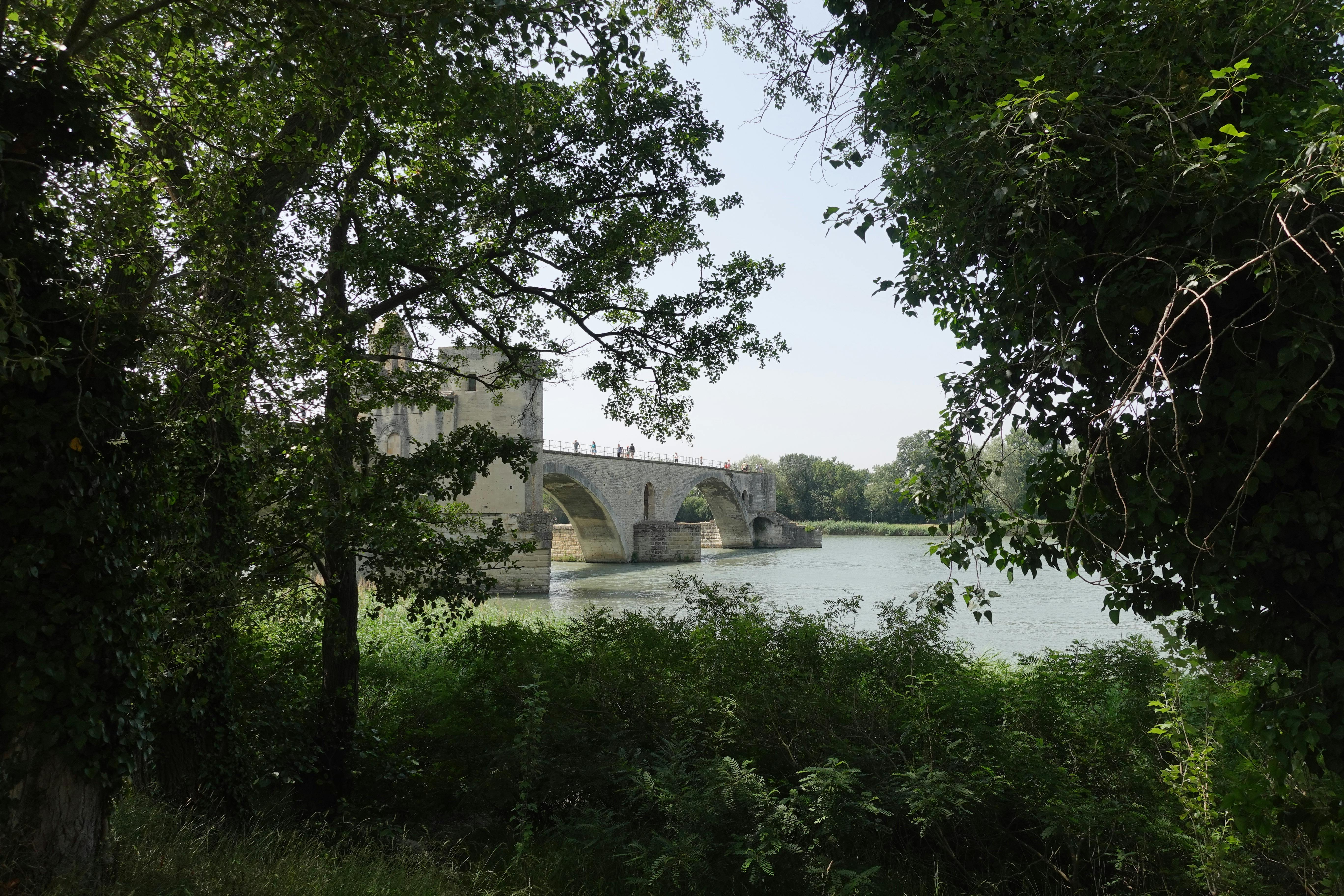 Avignon