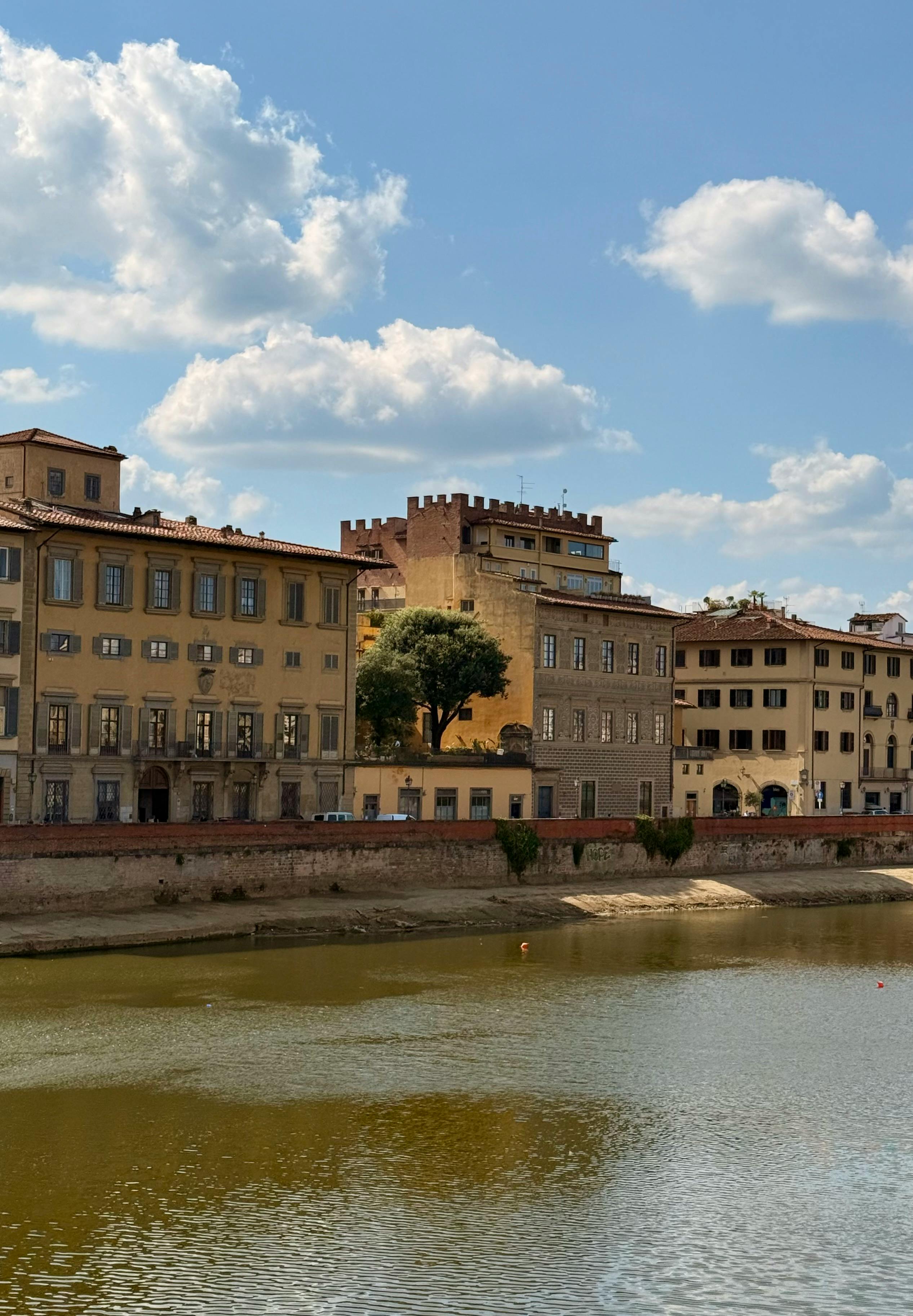 800 000+ Selena-gomez-shares-her-first-official-photo-with-fiance