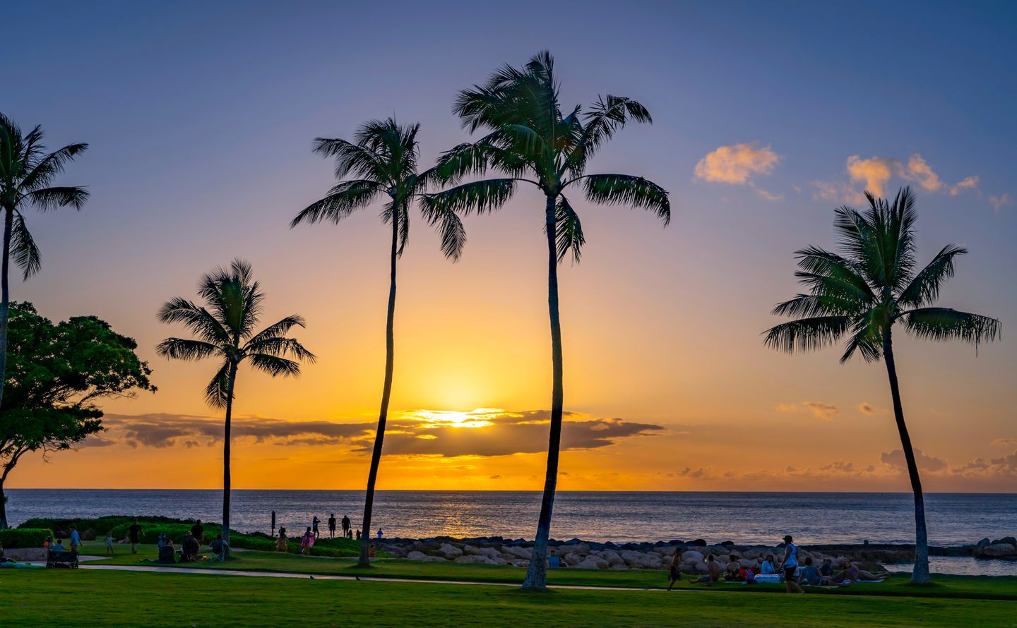 Palms silhouetted against a hazy Hawaiian sunset at the hottest end of the year