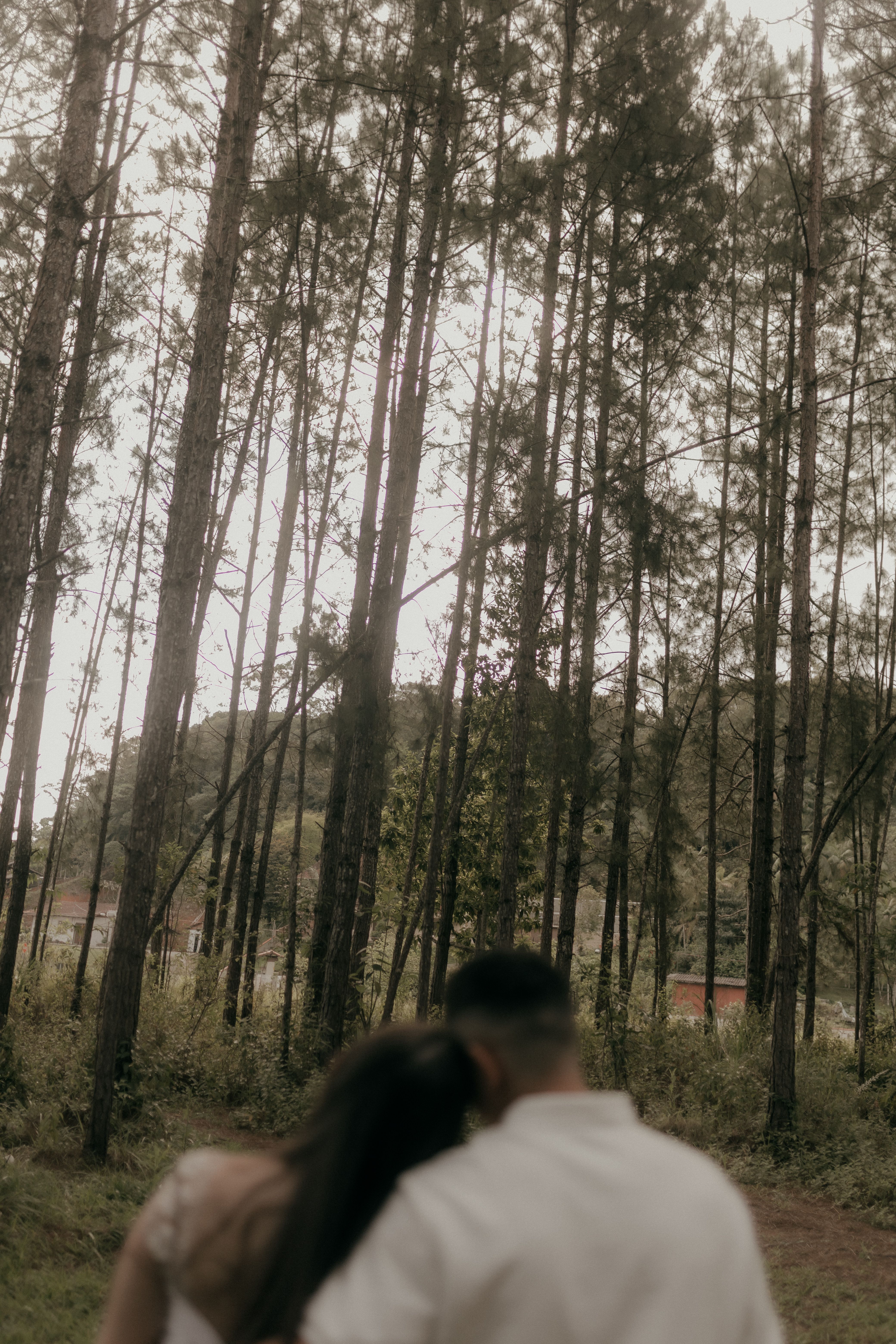 A tender moment between a couple in a tranquil forest, evoking nature's peace.