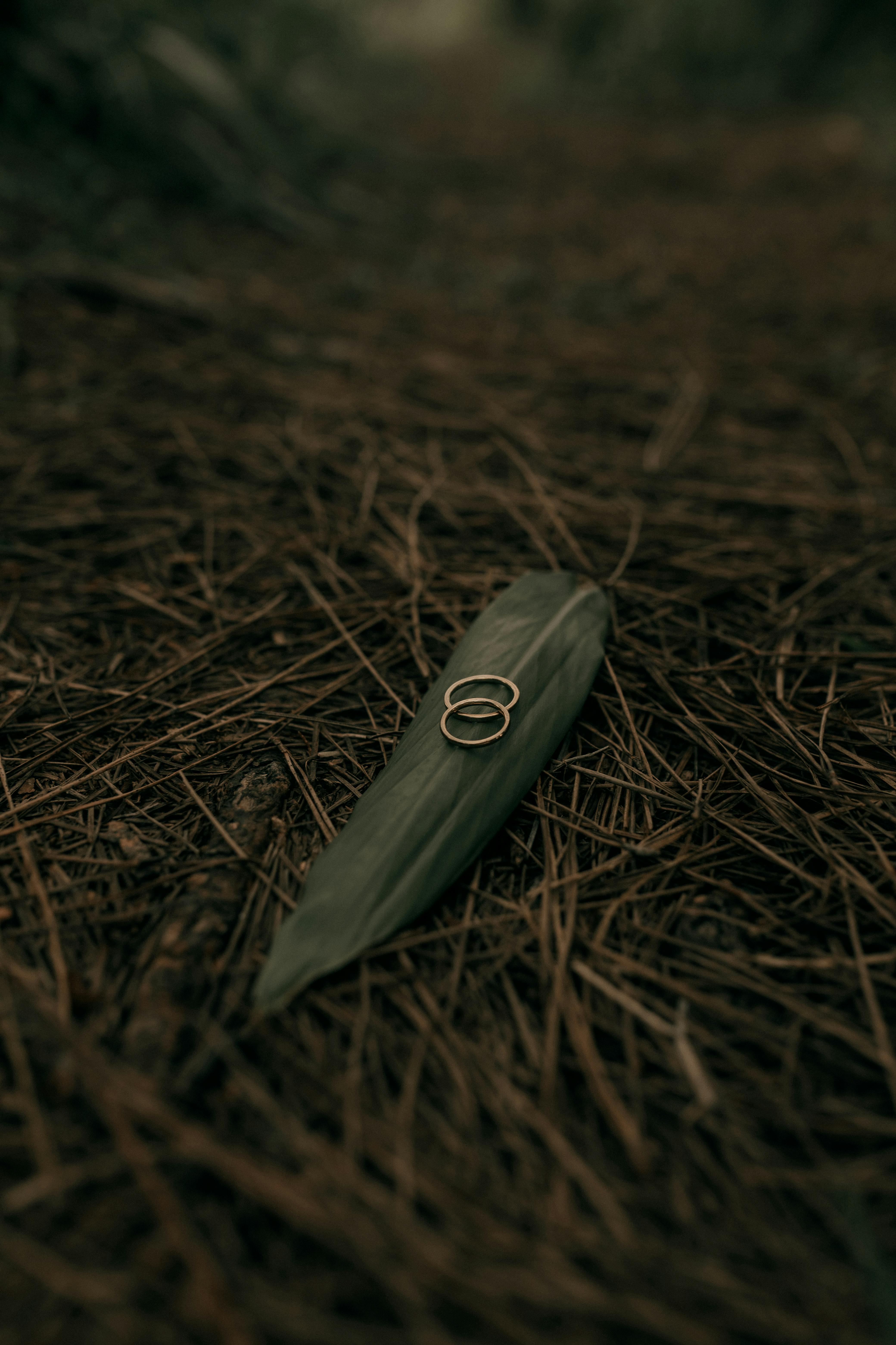 Gratuit Imagine de stoc gratuită din a închide, ace de pin, angajament Fotografie de stoc