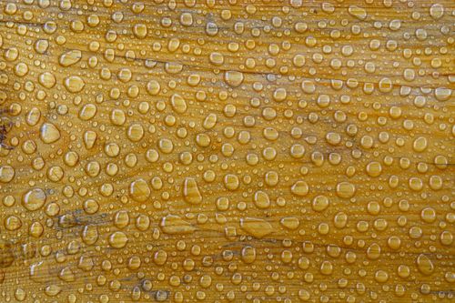 Free Detailed close-up of water droplets on a wooden surface, showcasing texture and pattern. Stock Photo