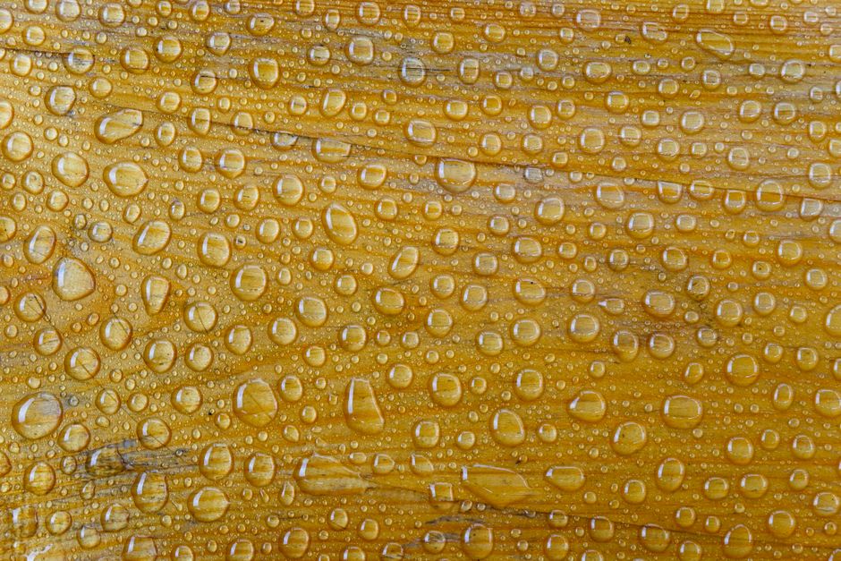 Droplets beading on a fabric surface, the visible sign of a DWR durable water repellent finish that wears off and can be restored with heat.