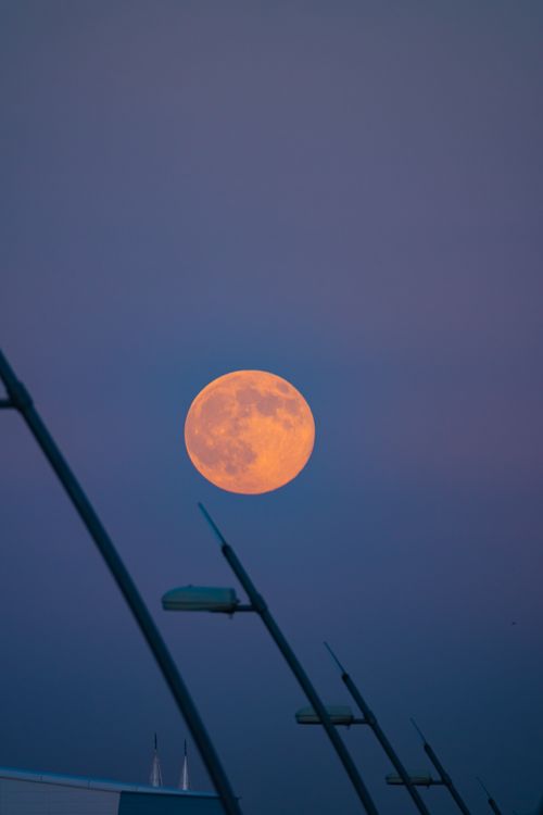 Free Captivating view of the full moon over Kayseri with streetlights silhouetted against the twilight sky. Stock Photo