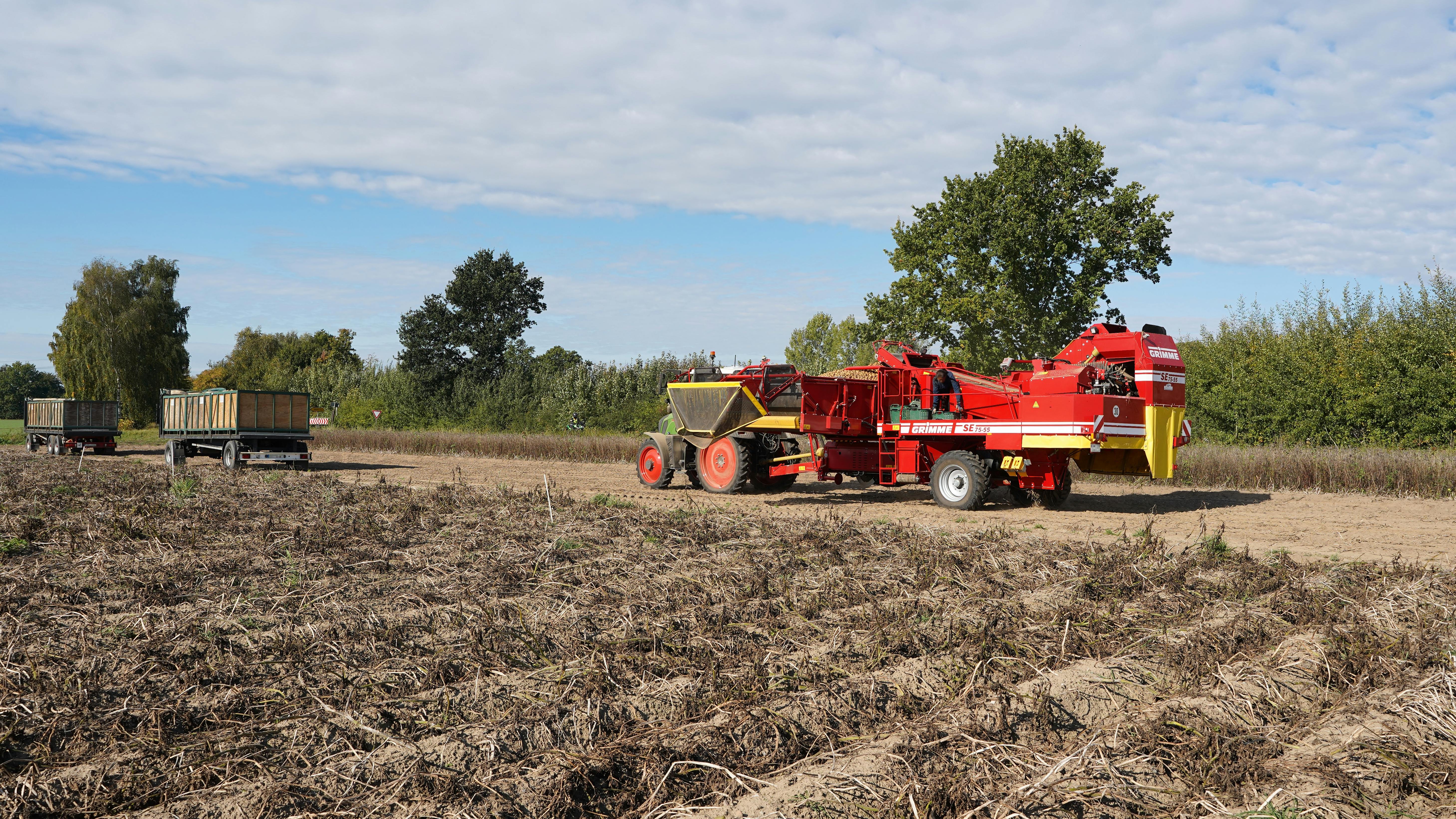 Cultivo de Geoffroea decorticans: Propagación, Manejo y Potencial Agroecológico