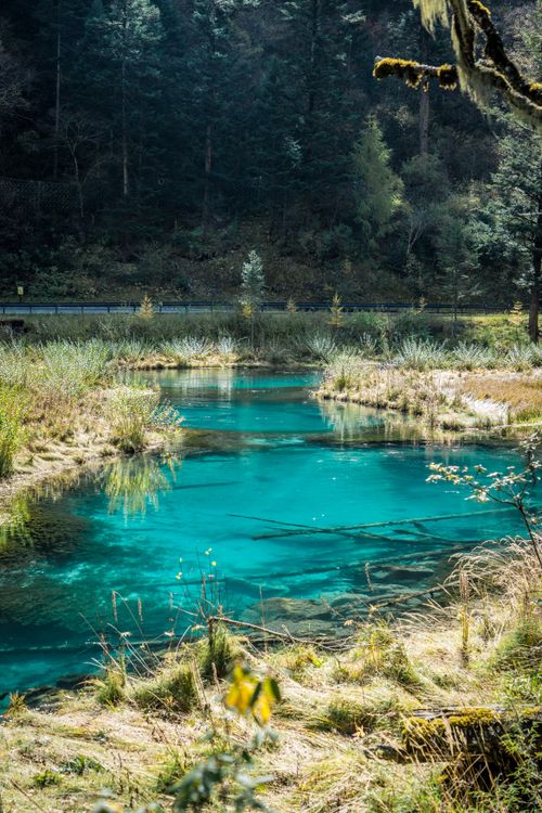 Free Breathtaking view of a vibrant blue lake surrounded by dense forest and greenery. Stock Photo