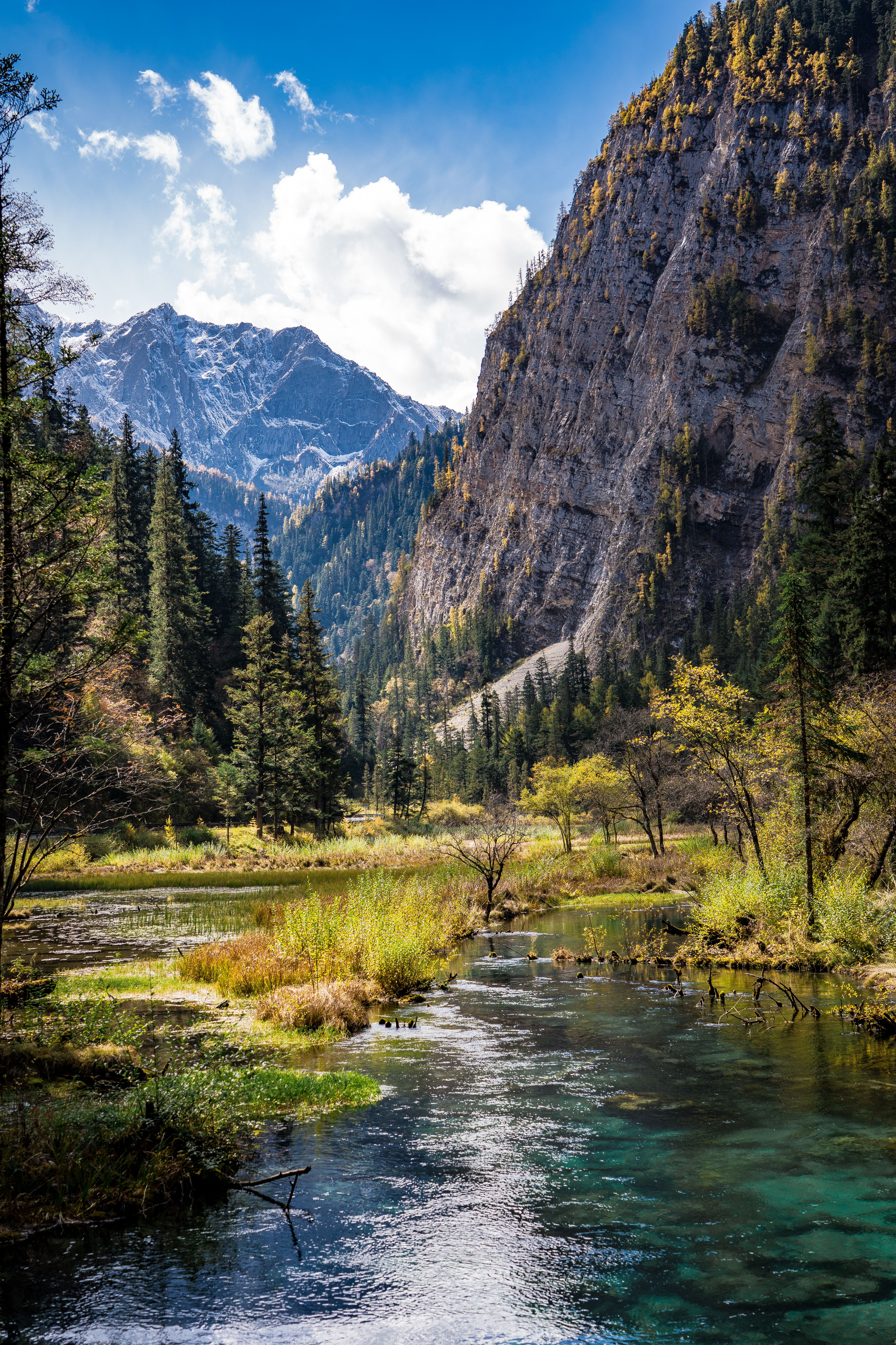 Fotomural Fotolia