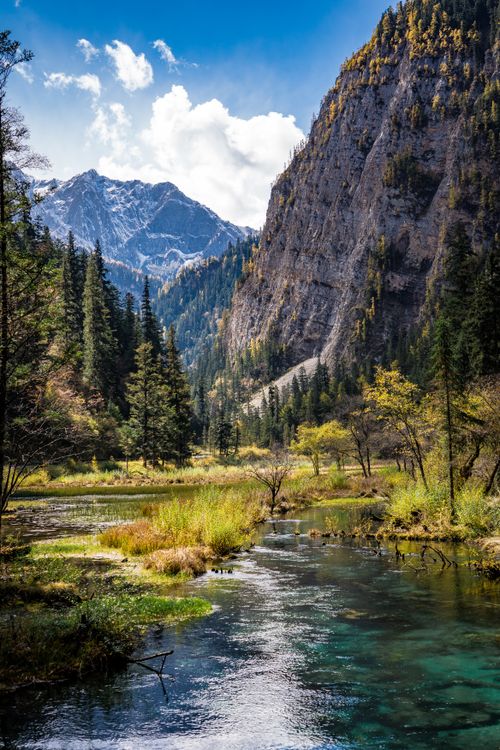 Free Crystal clear stream flowing through a forest with mountain backdrop in autumn. Stock Photo