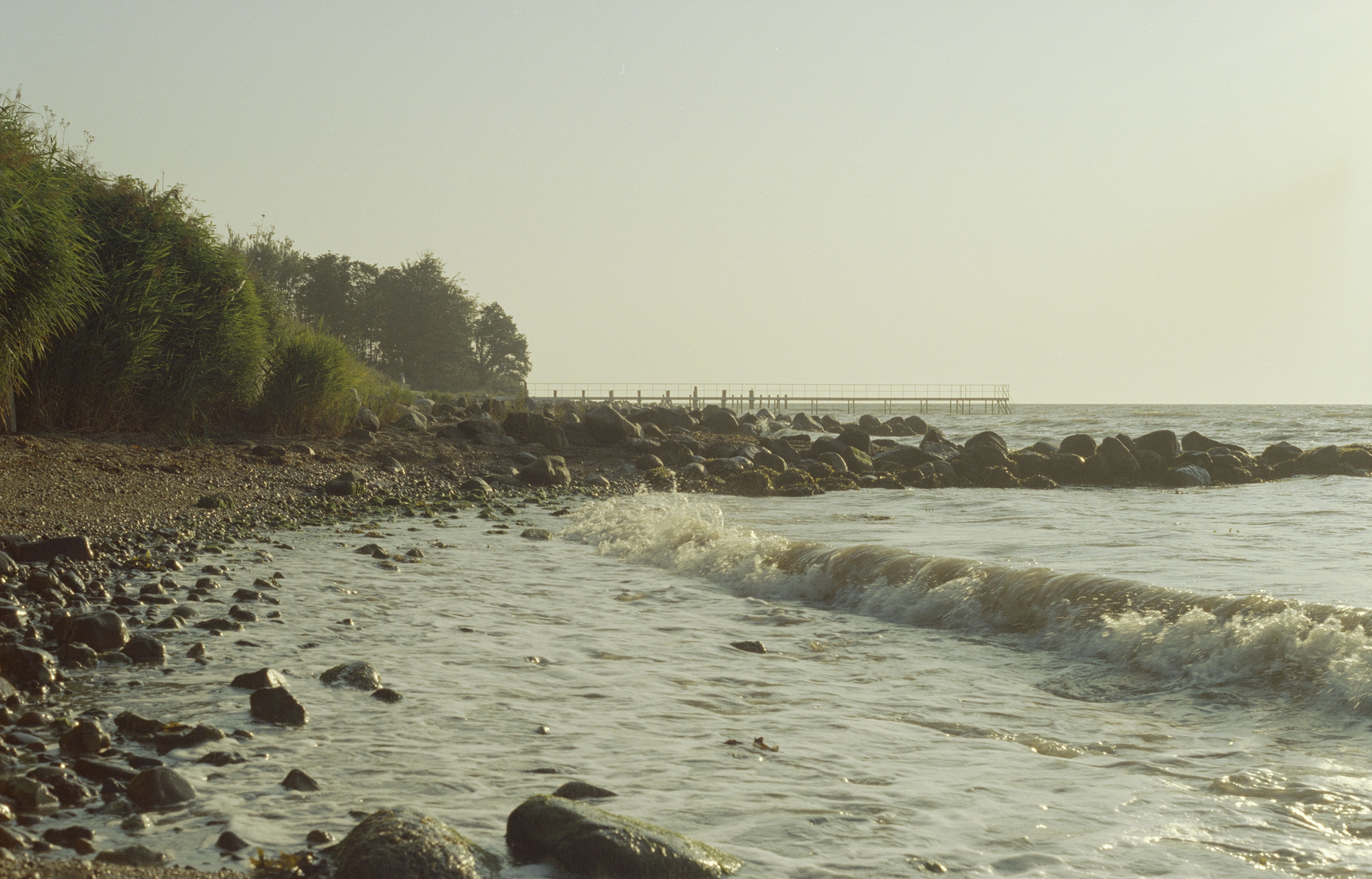 Denmark coast shoreline + lush foliage — Louisiana Museum 1958 Øresund coast + 35 min north + sculpture park overlooking sea