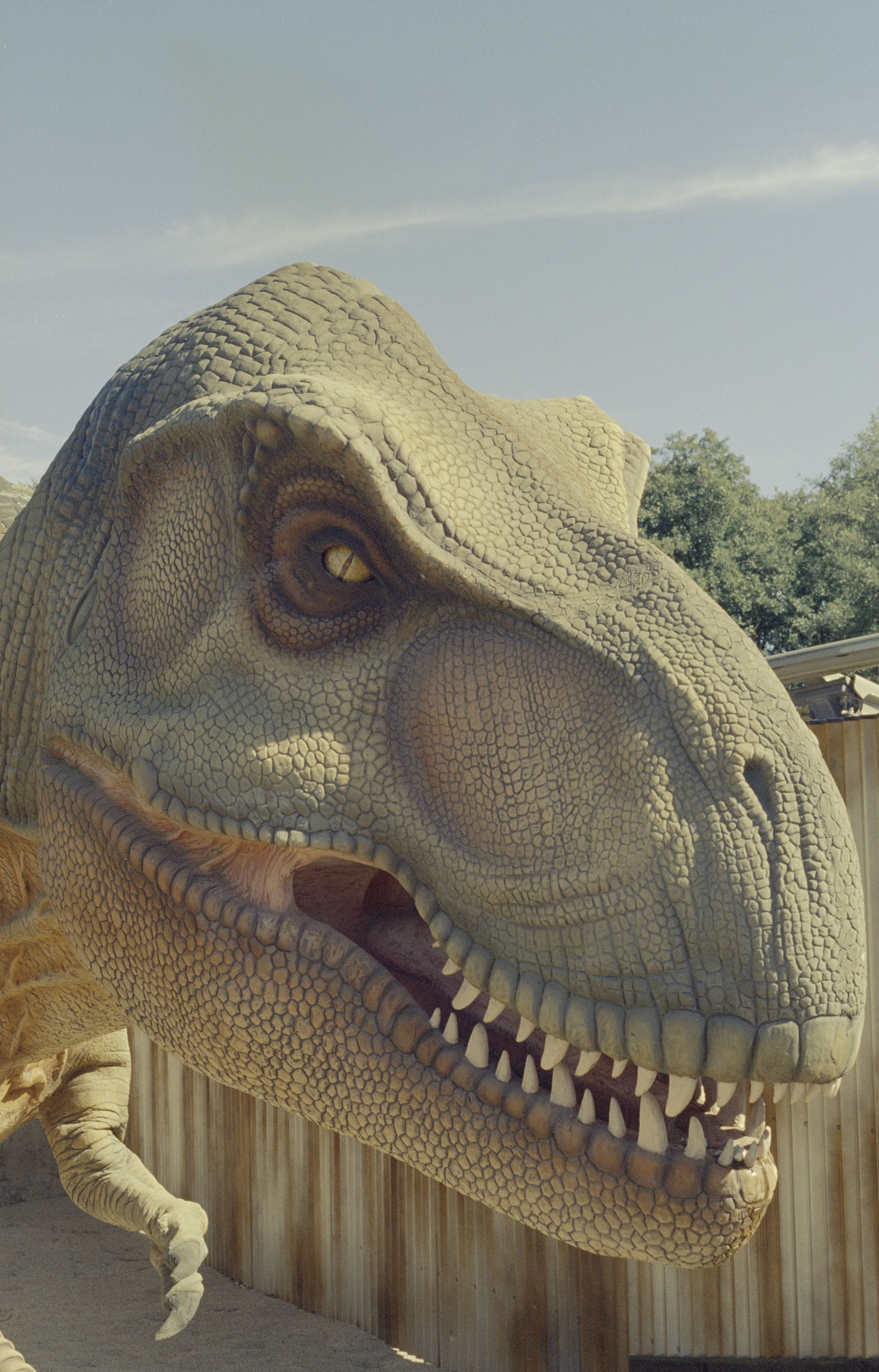 Close-up of a realistic dinosaur sculpture in Nimtofte, Denmark zoo.