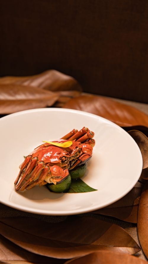 Free Appetizing crab elegantly presented on a white plate with leaves. Stock Photo