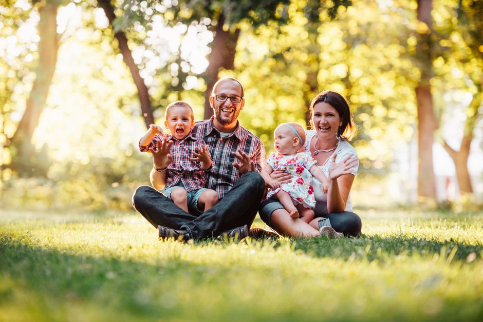 Evaluating Green-Focused Protection Providers
