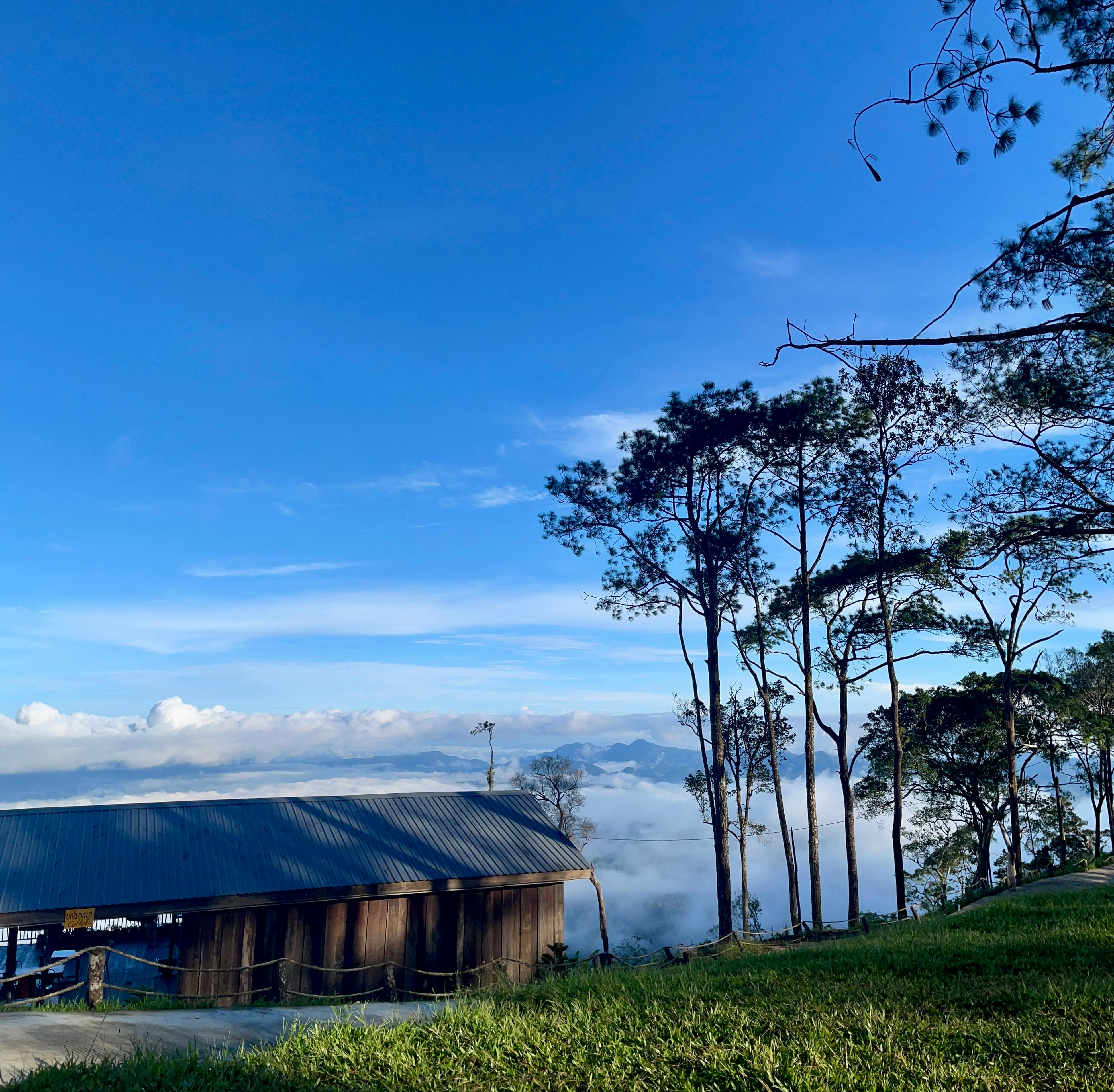 財經：Fed降息過快恐引風險 古爾斯比警告市場如「大霧開車」