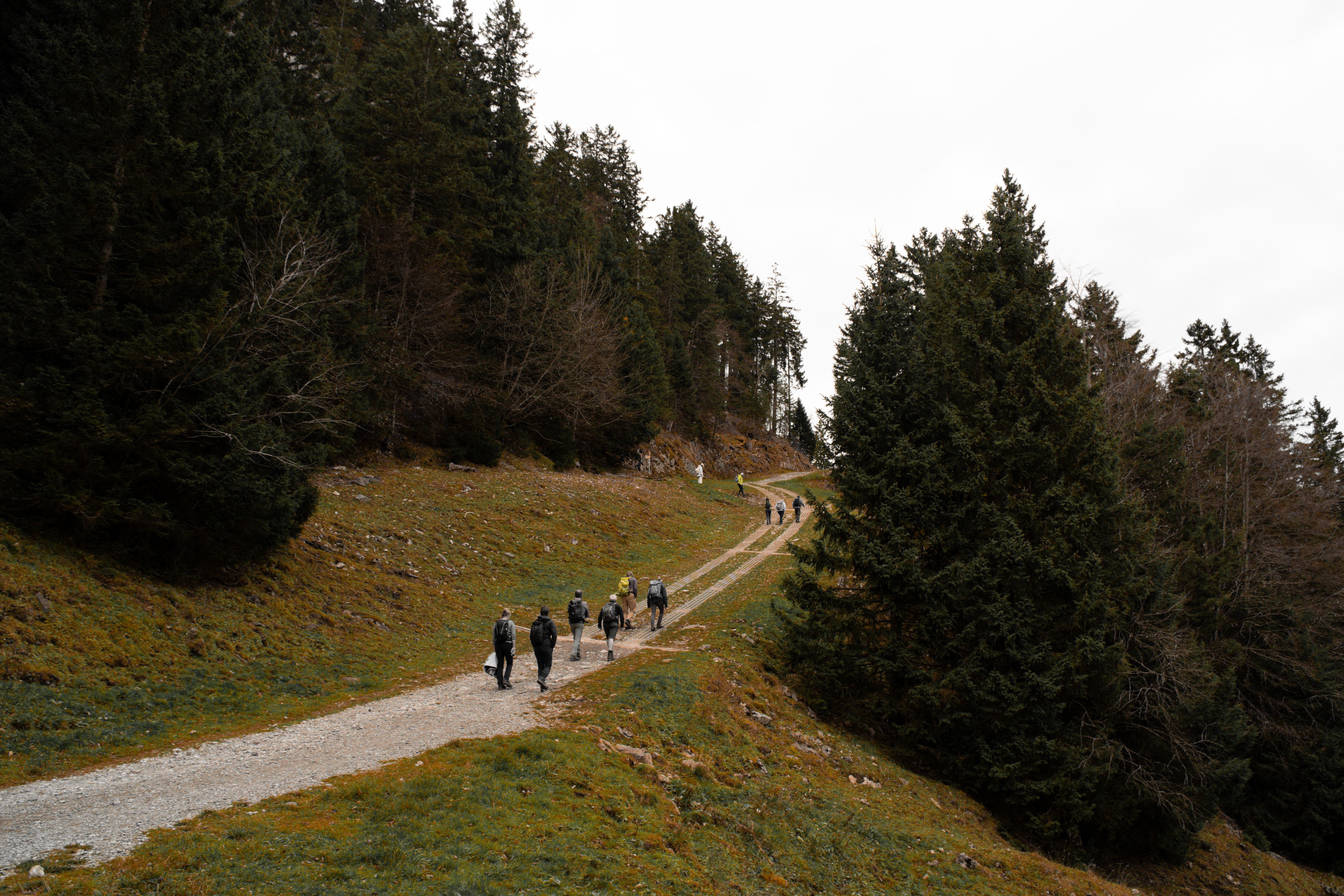 Group hiking through the picturesque trails in the Swiss Alps during winter.