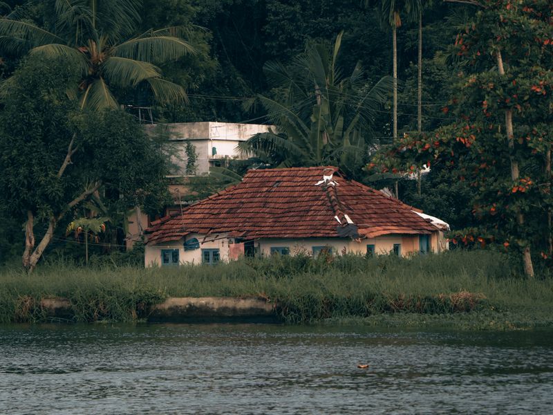 Kerala riverside house in lush landscape