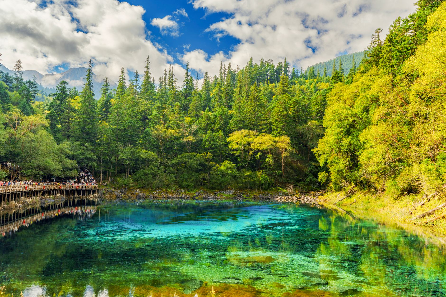 Panduan Lengkap Jiuzhaigou Valley China: Keajaiban Alam Tersembunyi di Asia
