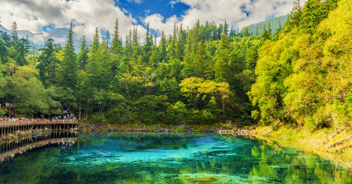 Les Meilleures Destinations Écoresponsables à Explorer