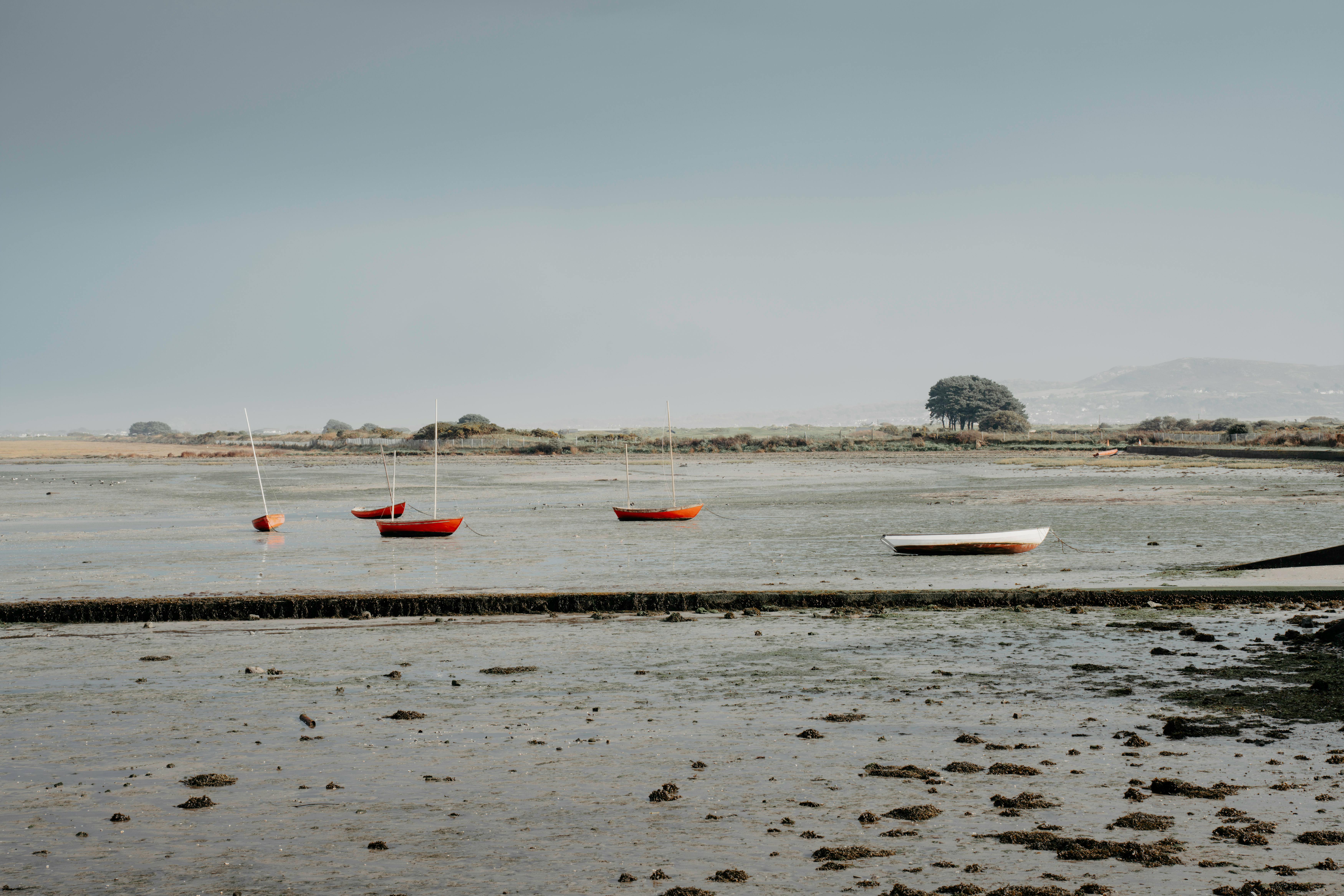 財經：黃仁勳返台探神山 韓炸雞吃完仍念台積電 法人連六賣台積股