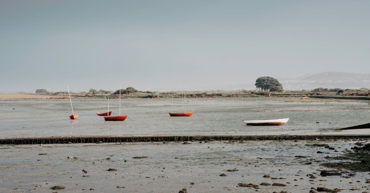 財經:Q3虧損9.6億!三大法人重押玻纖布大廠逾1.8萬張 股民哀號