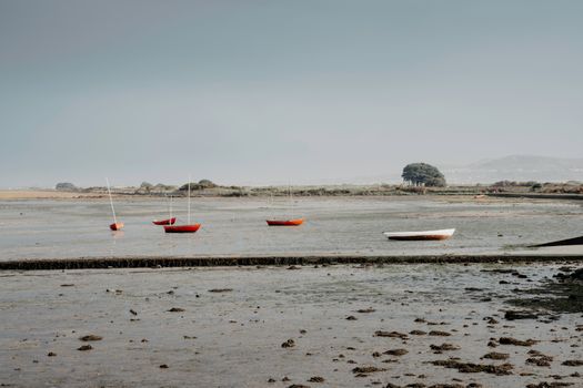 Peaceful low tide landscape with moored boats in Ireland, showcasing serene coastal beauty.