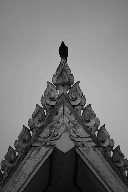 Free Artistic capture of a decorative roof peak with a silhouetted bird. Monochrome. Stock Photo