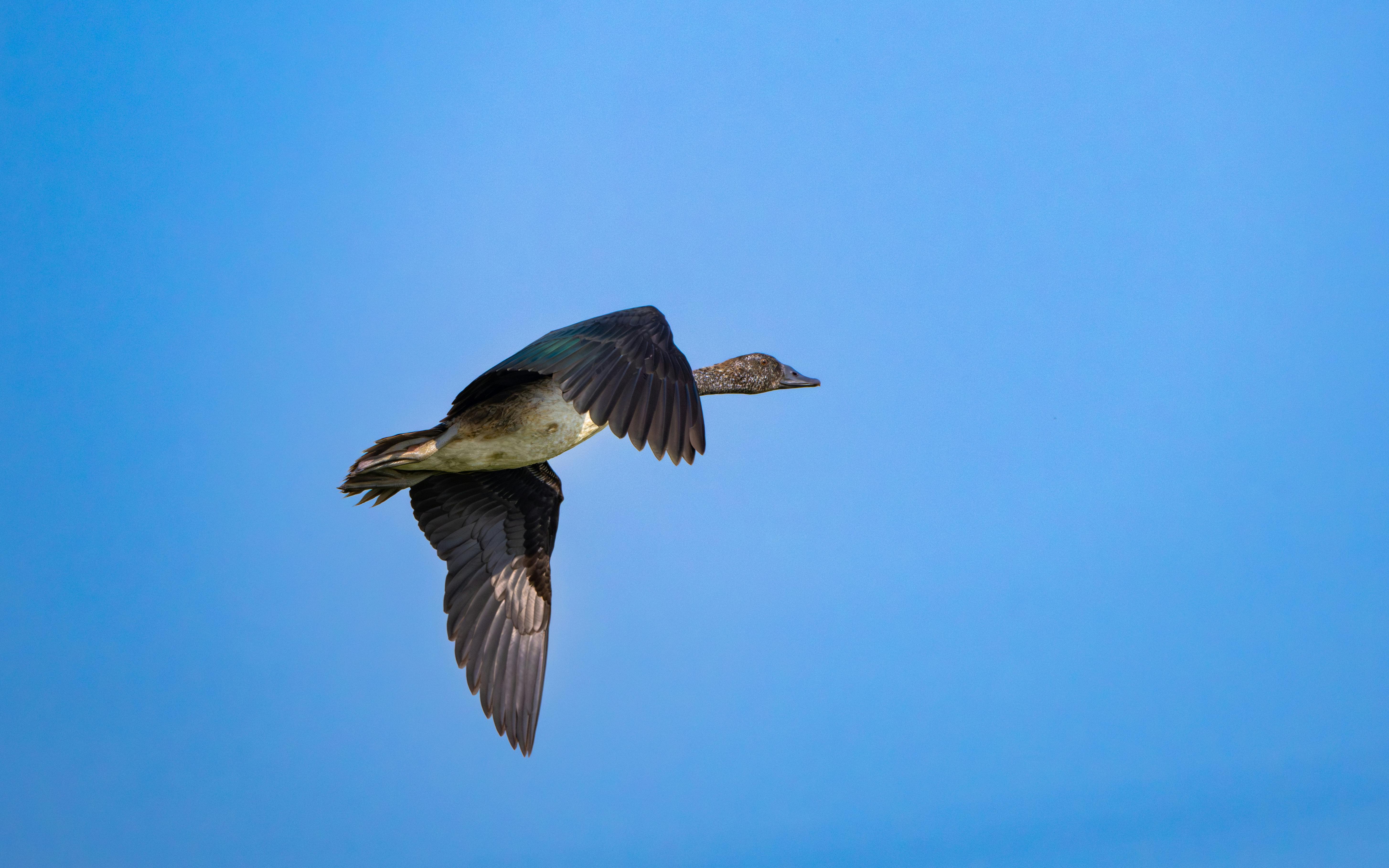 勞工局推出多國語言動畫 助移工安心適應台灣生活