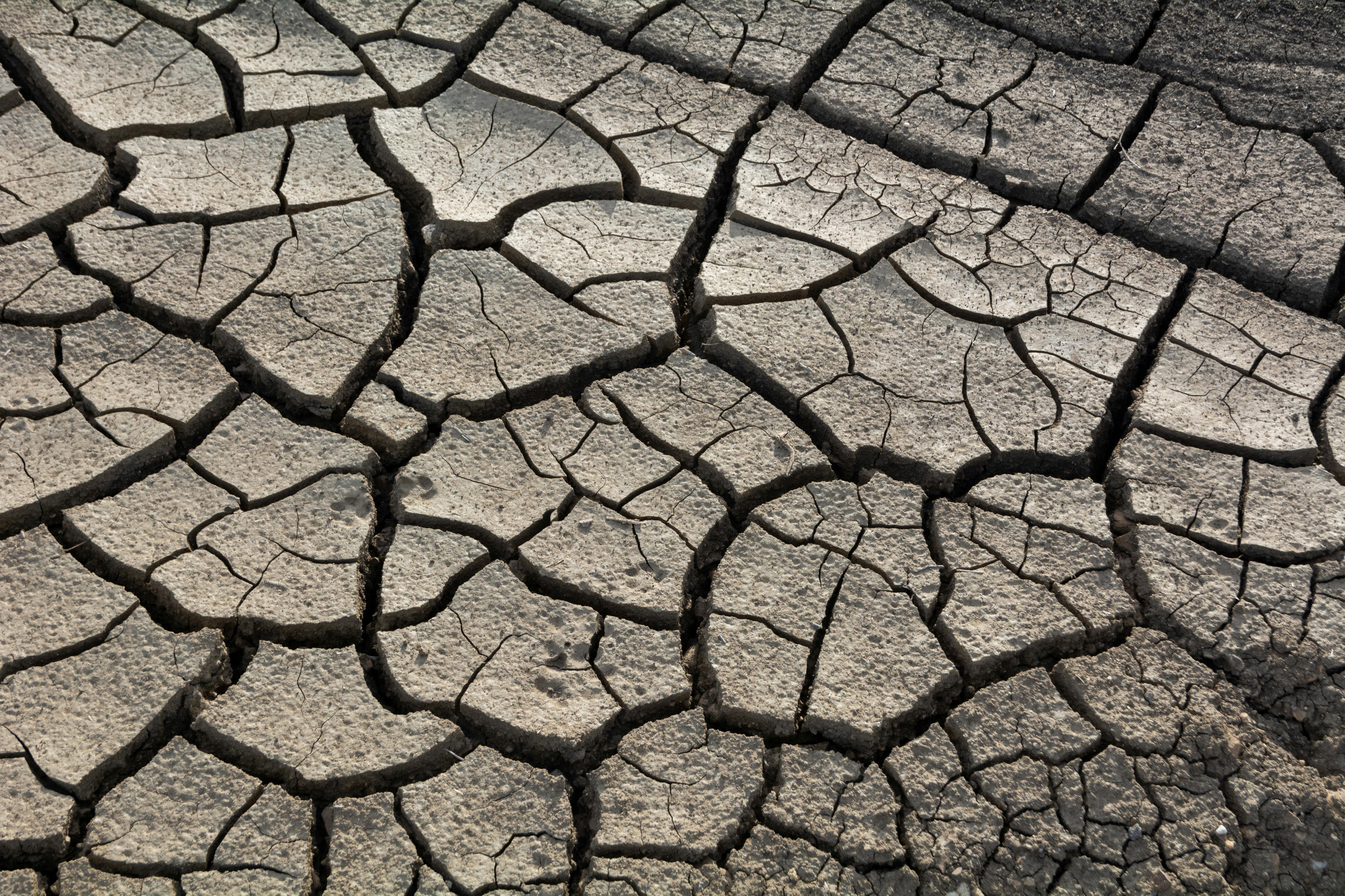 Crise climática em 2025: Entenda por que este ano será decisivo para o planeta