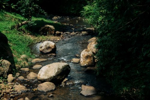 Free Tranquil stream with rocks surrounded by lush greenery in Kon Tum, Vietnam. Perfect for nature and tranquility themes. Stock Photo
